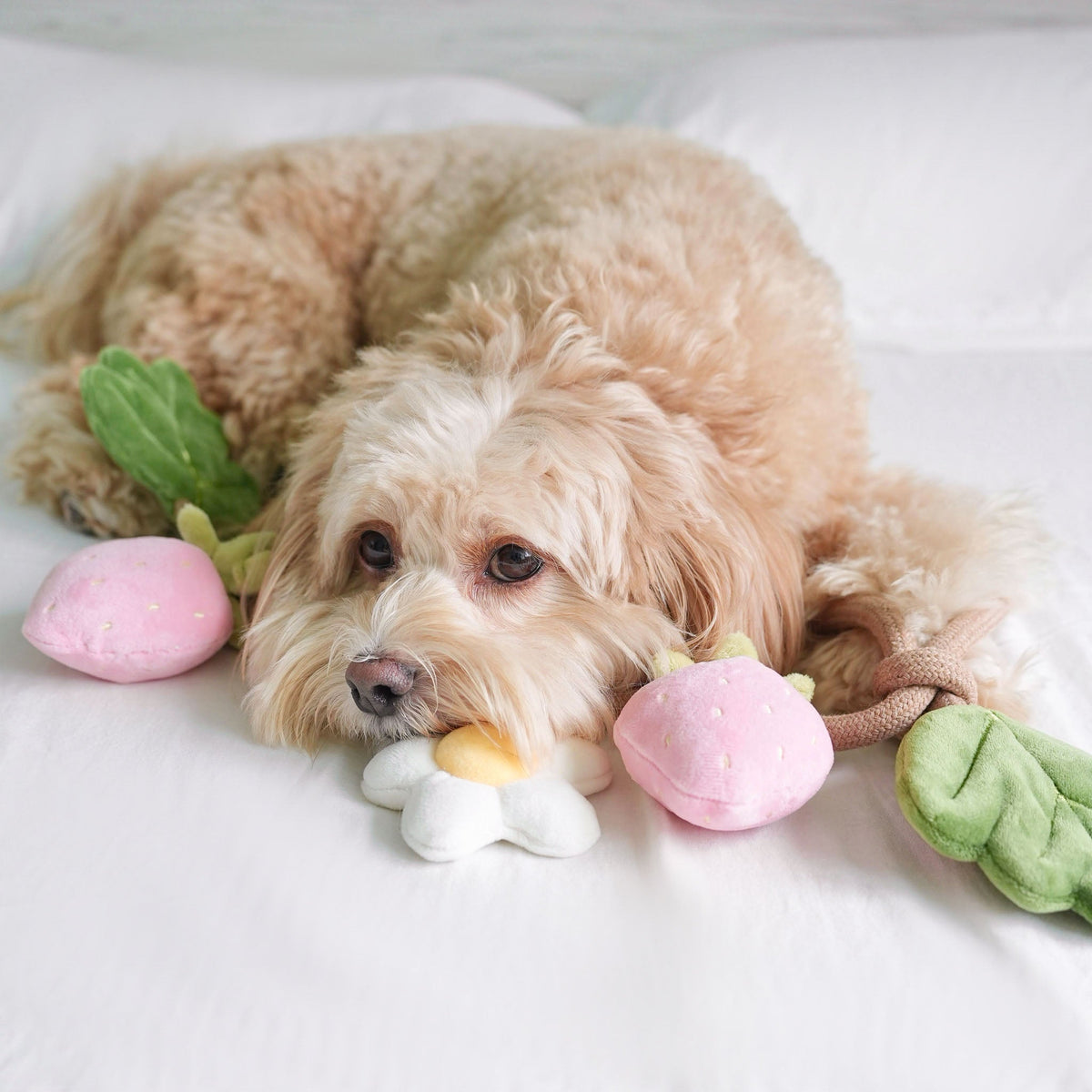 Strawberry Vine Rope Toy - Pups & Bubs