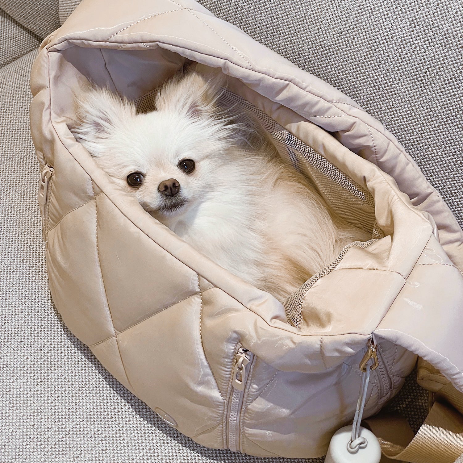 Cloud Crossbody Pet Carrier (Black) - Pups & Bubs