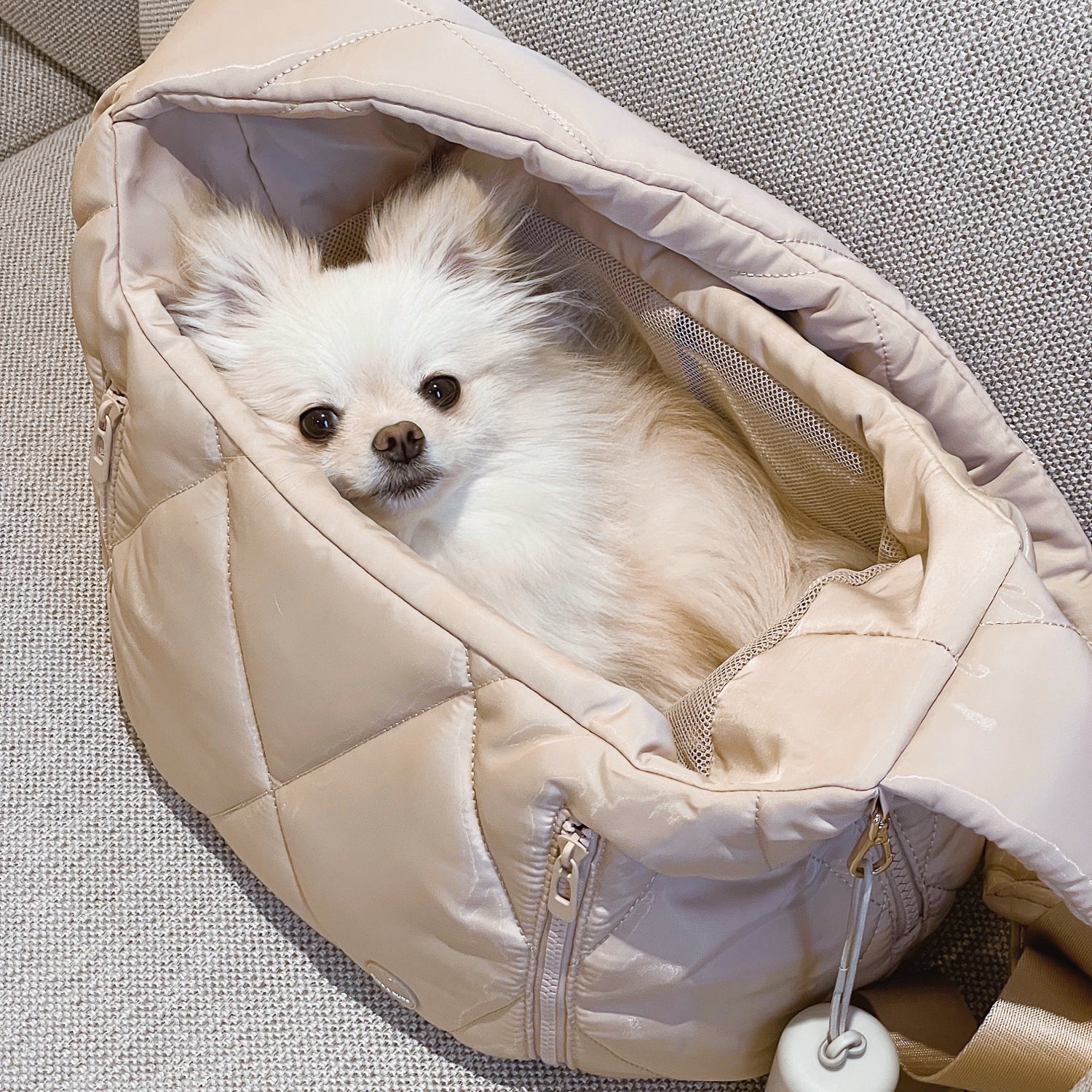 Cloud Crossbody Pet Carrier (Latte) - Pups & Bubs