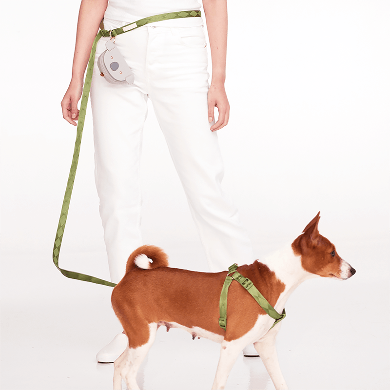 Easily Harness + Multi-Way Lead Set (Epsom) - Pups & Bubs