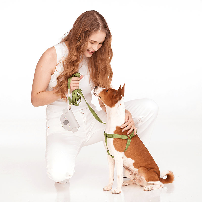 Easily Harness + Multi-Way Lead Set (Epsom) - Pups & Bubs