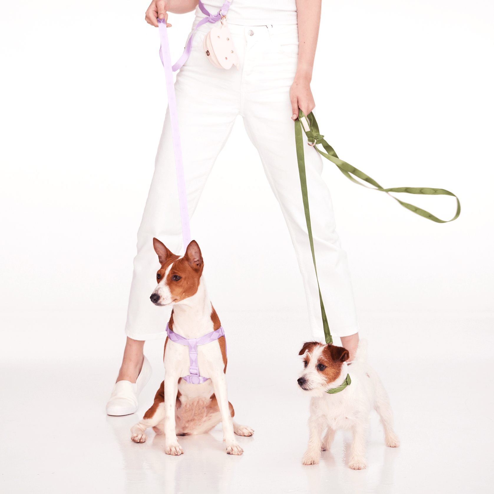 Easily Harness + Multi-Way Lead Set (Violet) - Pups & Bubs