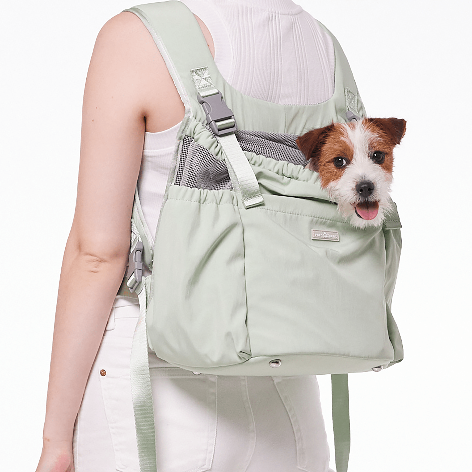 http://pupsandbubs.com/cdn/shop/products/lets-adventure-pet-carrier-front-backpack-mint-green-812363.png?v=1700635491&width=2048