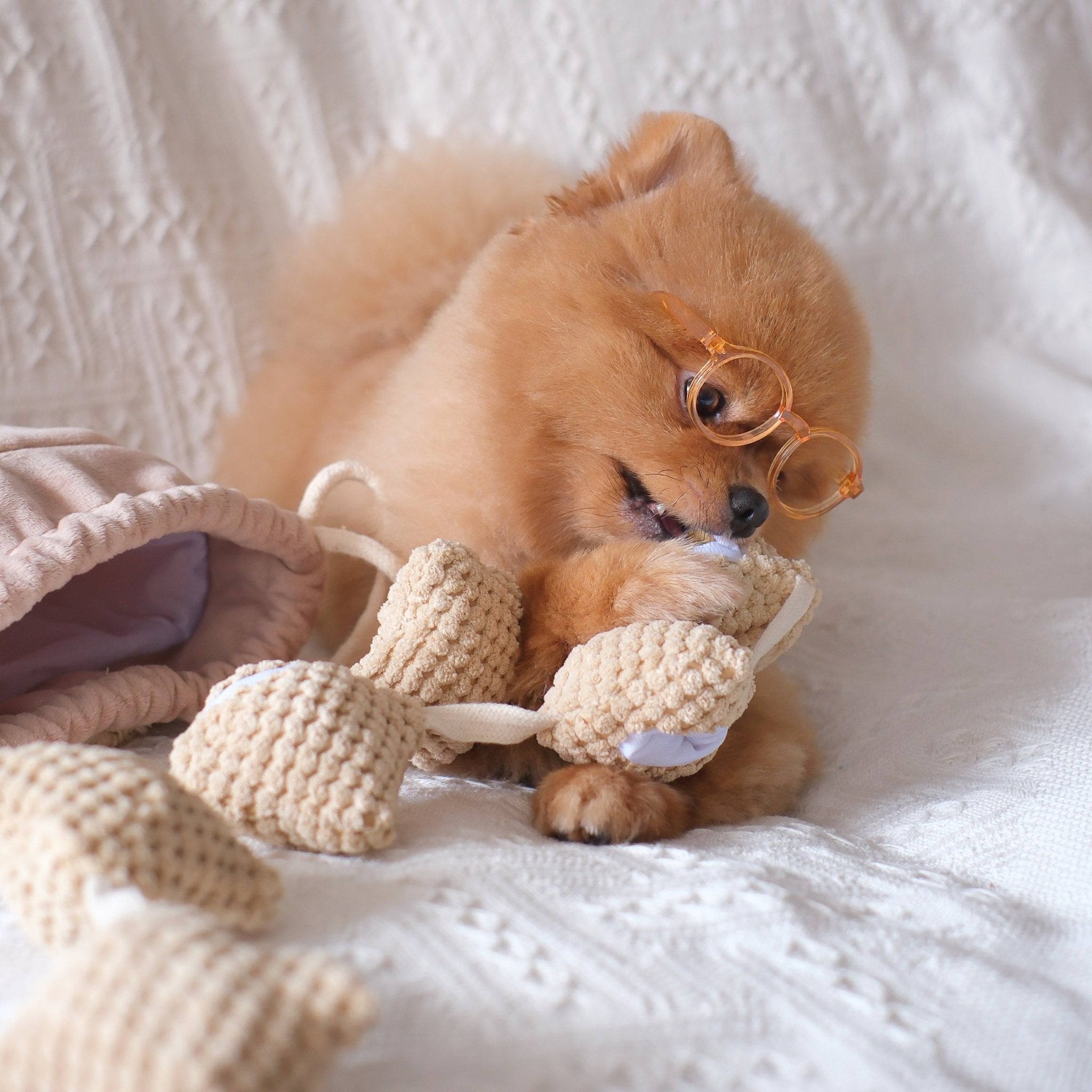 Popcorn Nosework Toy - Pups & Bubs