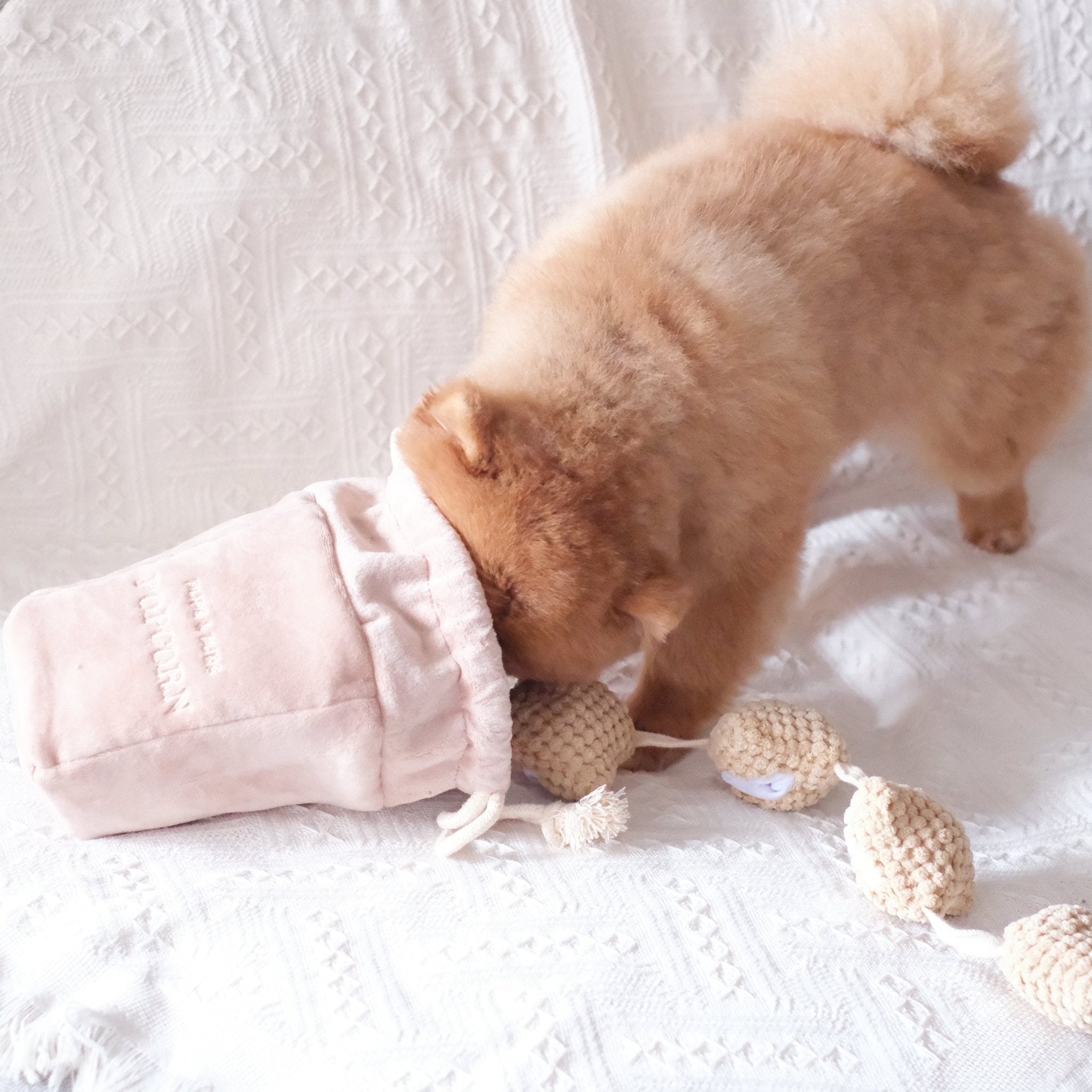 Popcorn Nosework Toy - Pups & Bubs