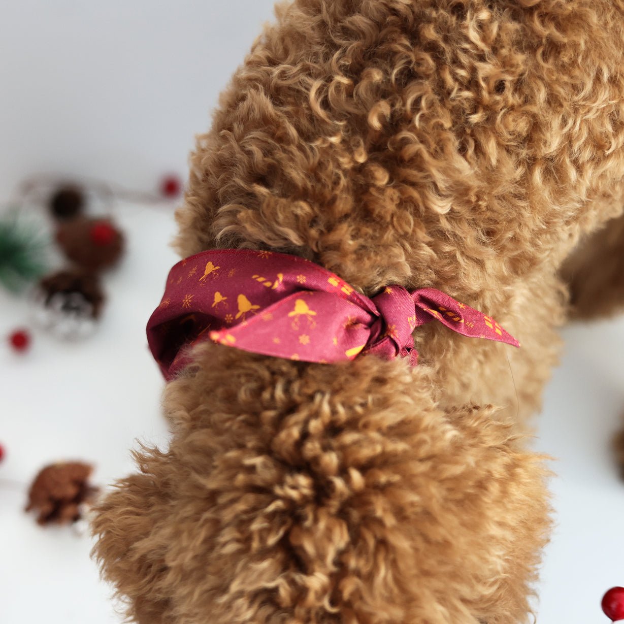 Santa's Little Helper - Pups & Bubs