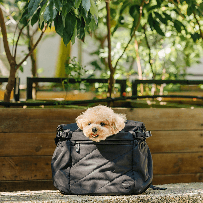 Snuggle Petite Pet Carrier (Black) - Pups & Bubs