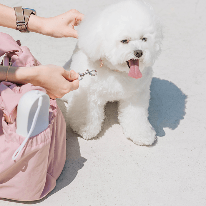 Snuggle Petite Pet Carrier (Dusted Pink) - Pups & Bubs