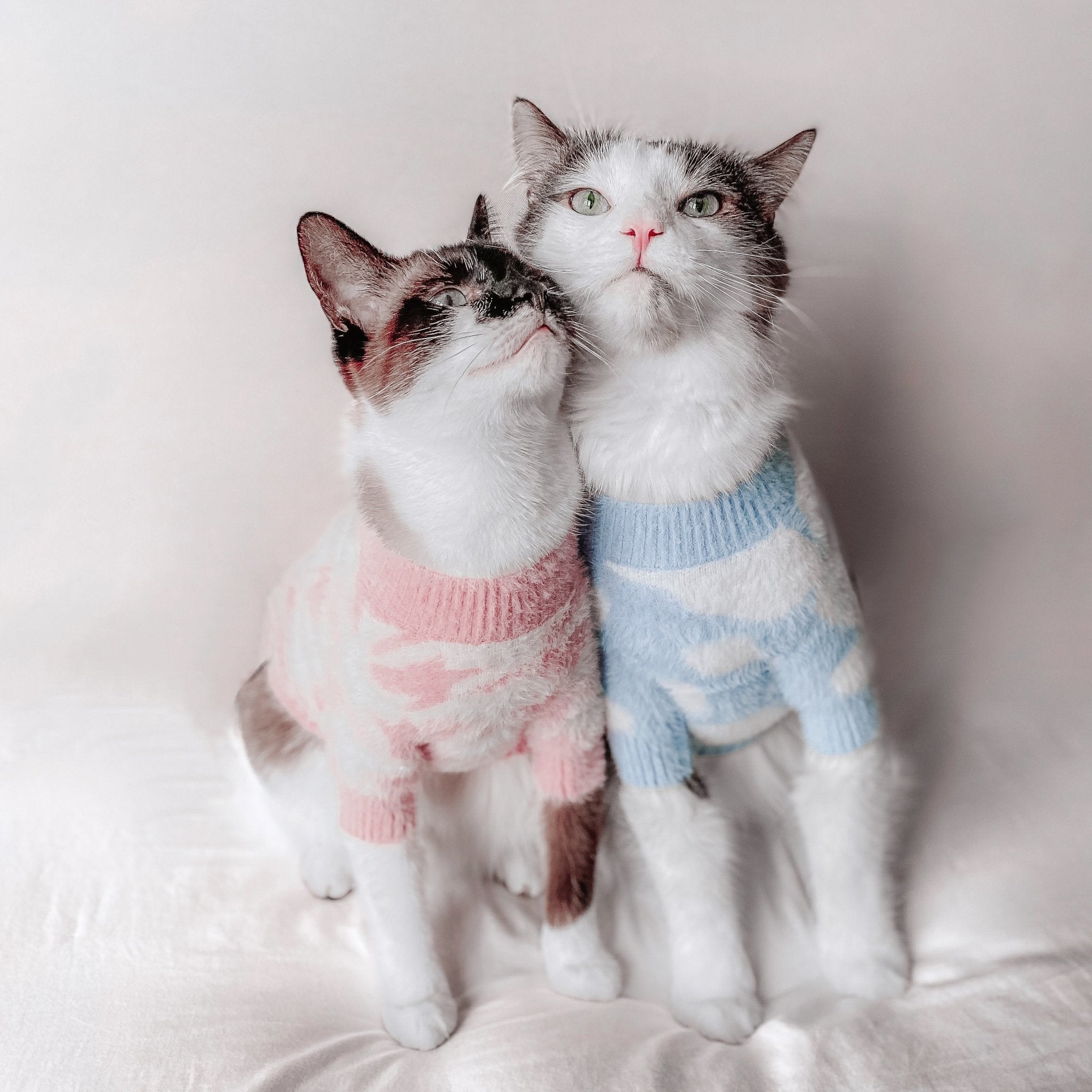 Soft Cloud Sweater (Cloud) w/ Leash Opening - Pups & Bubs