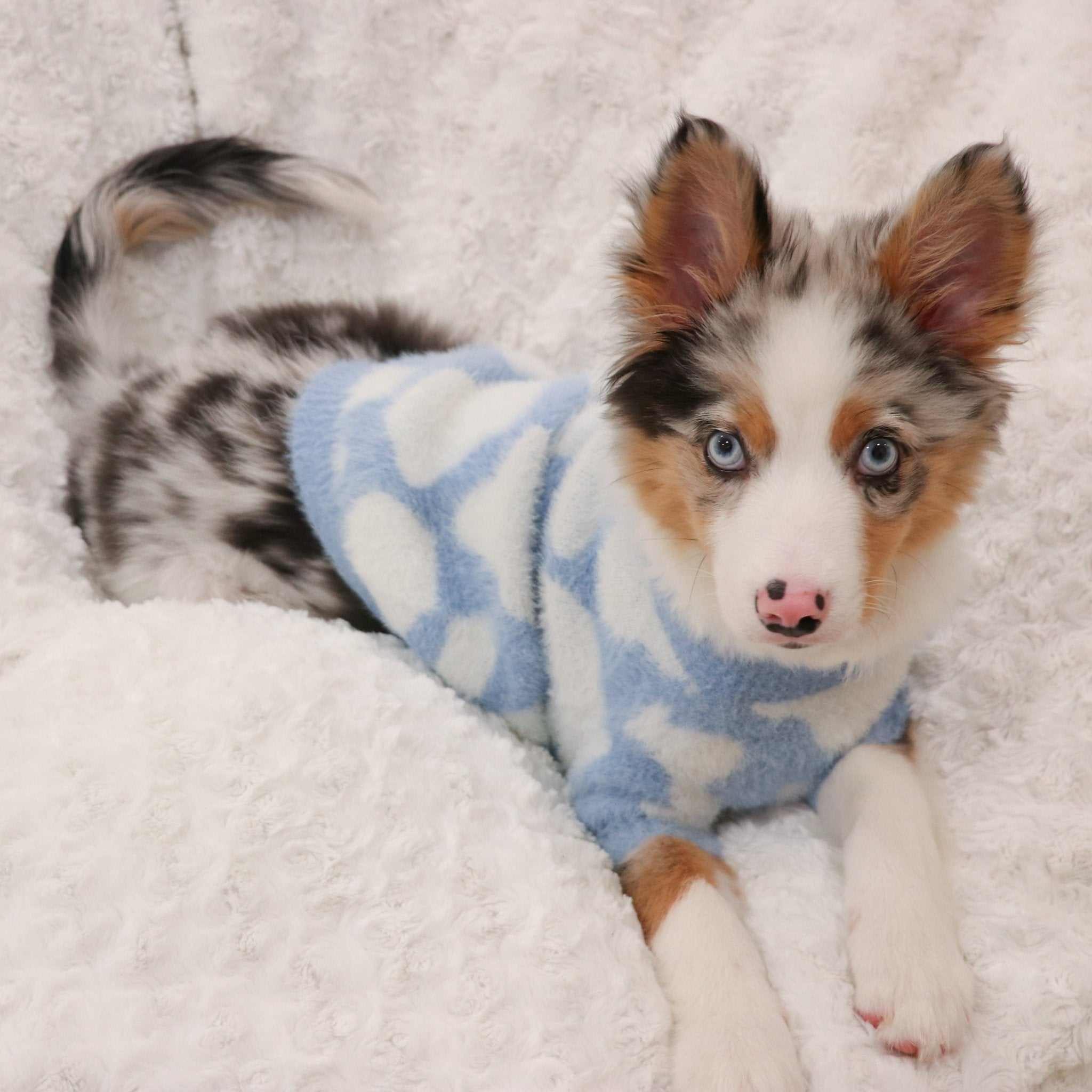 Soft Cloud Sweater (Cloud) w/ Leash Opening - Pups & Bubs