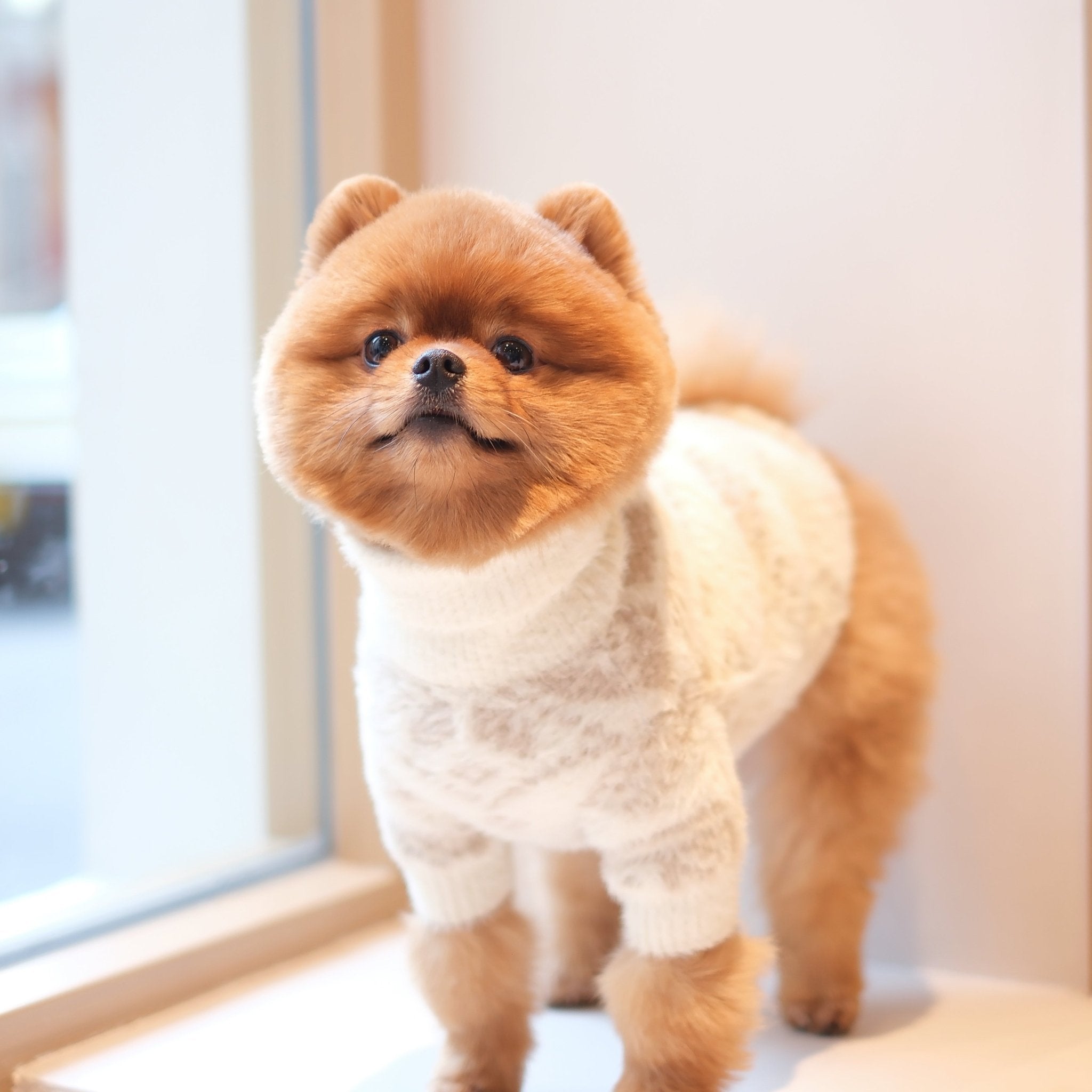 Soft Cloud Sweater (Let It Snow) w/ Leash Opening - Pups & Bubs