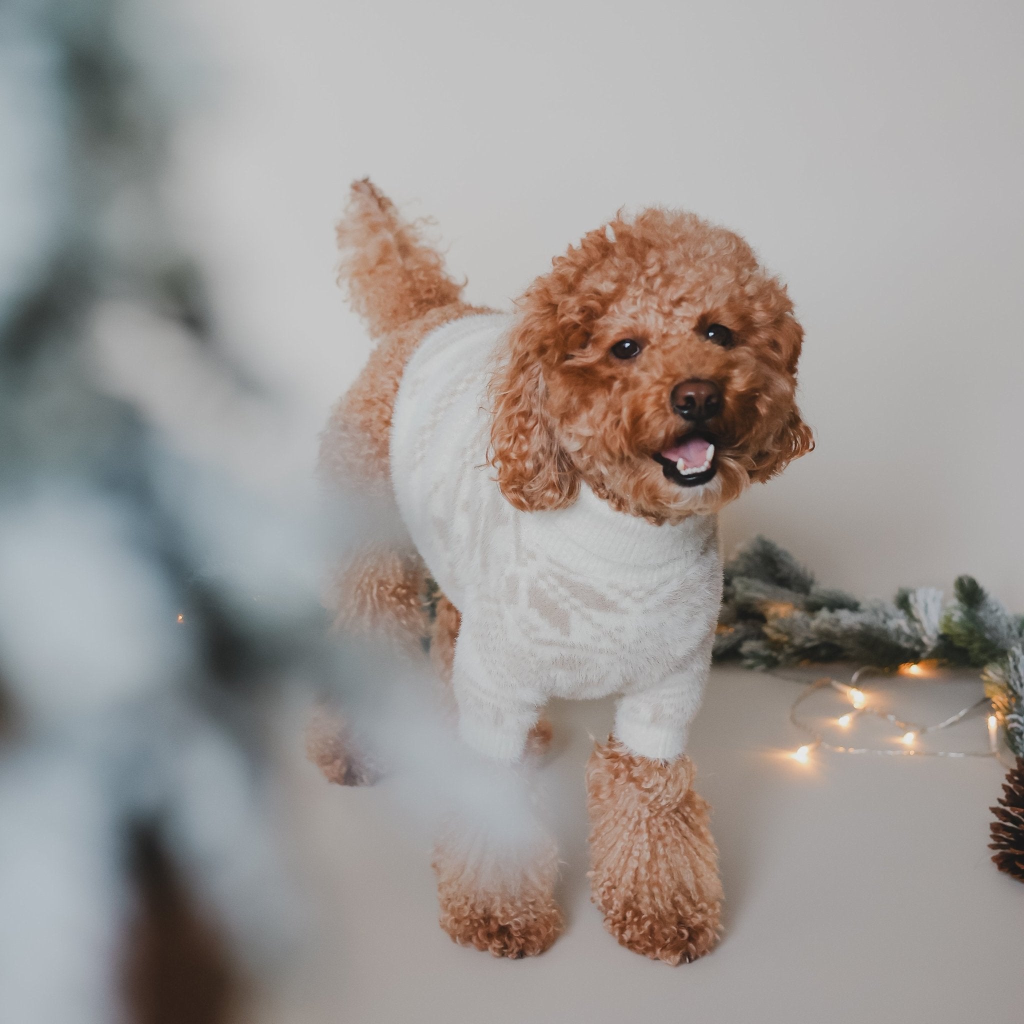 Soft Cloud Sweater (Let It Snow) w/ Leash Opening - Pups & Bubs