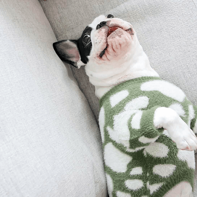 Soft Cloud Sweater (Moo) - Pups & Bubs