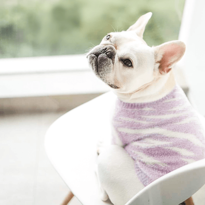 Soft Cloud Sweater (Zebra) - Pups & Bubs