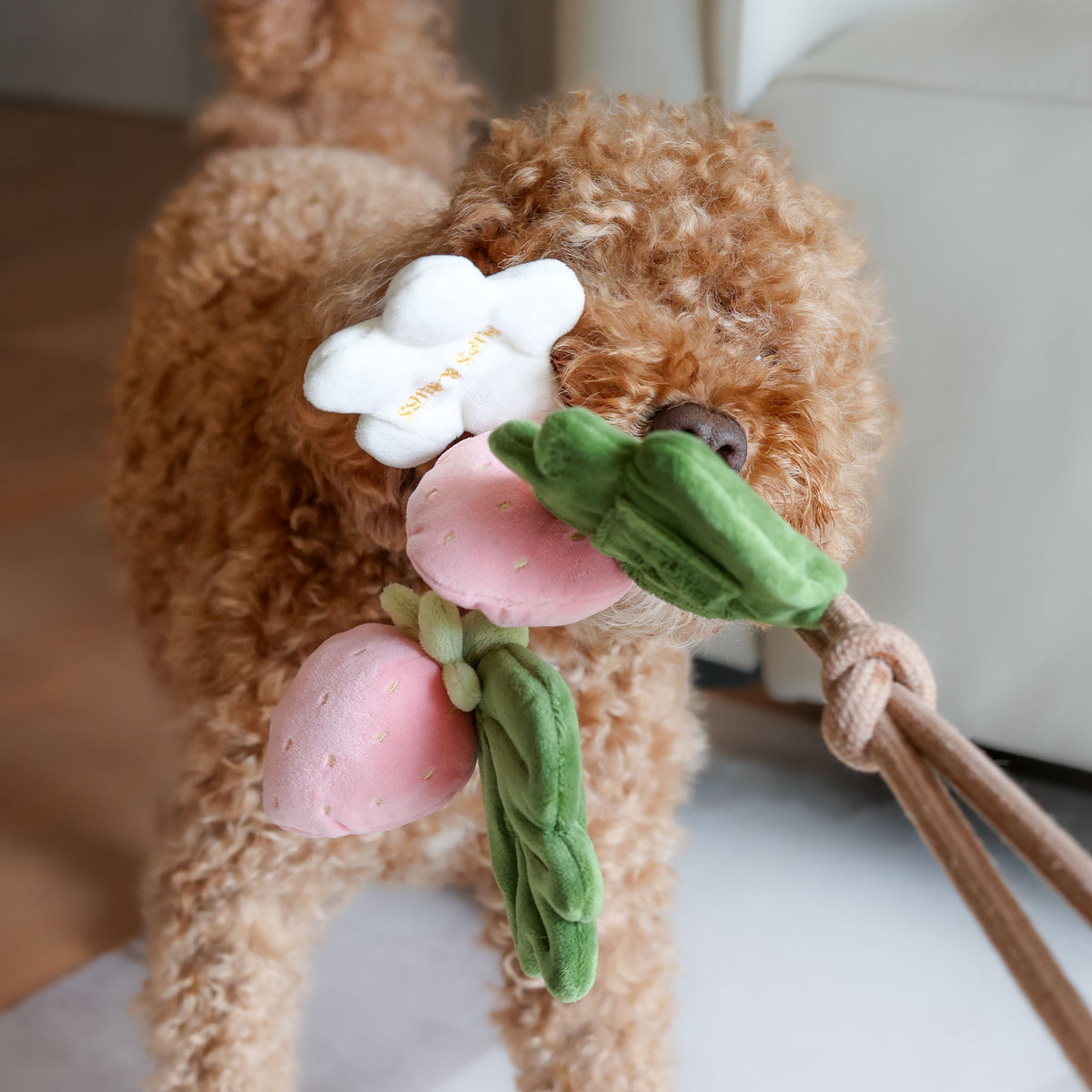 Strawberry Vine Rope Toy