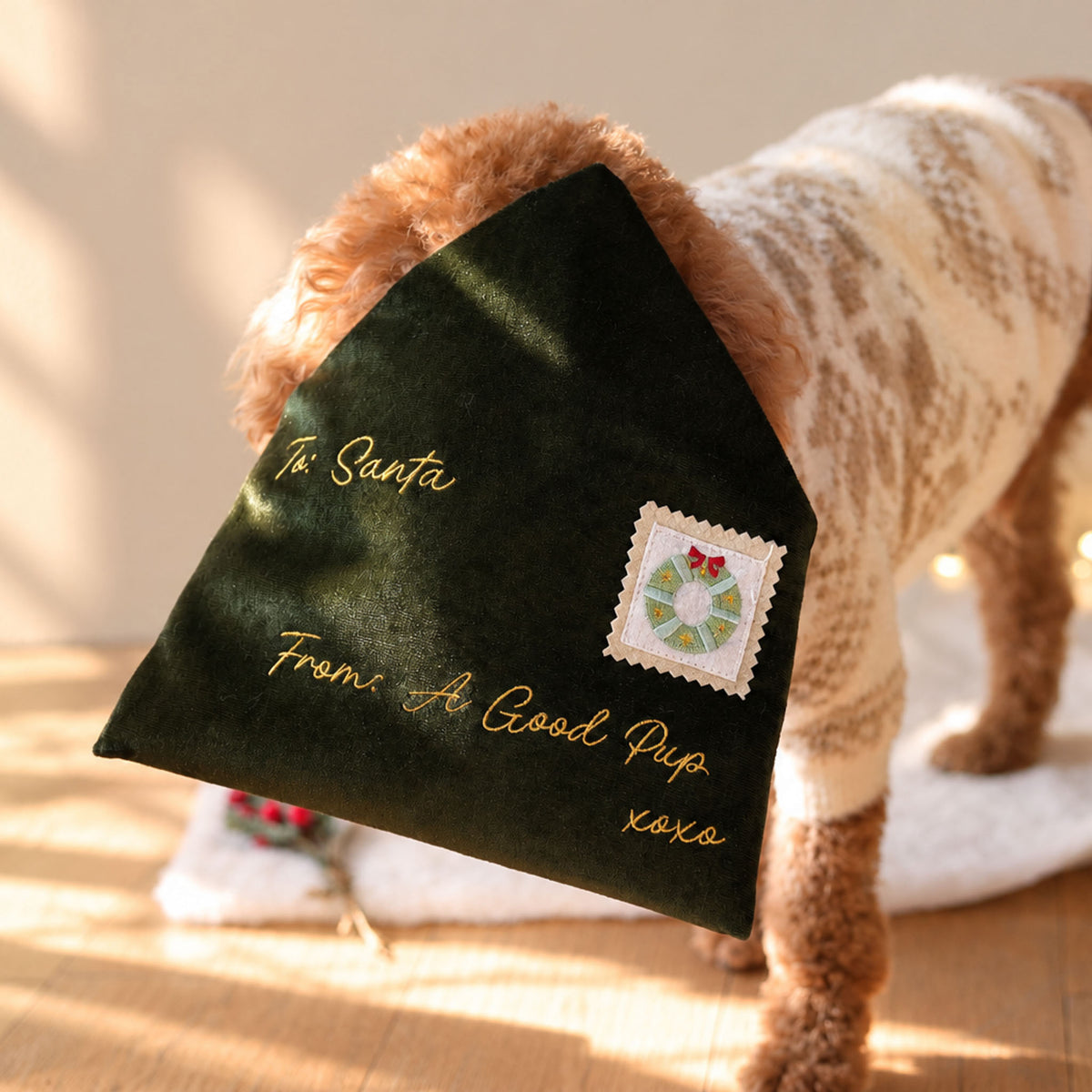 Letter To Santa Nosework Toy