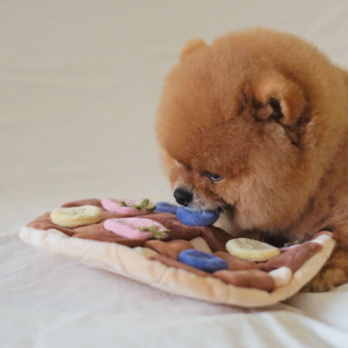 Fruity Delight Crêpe Snuffle Mat