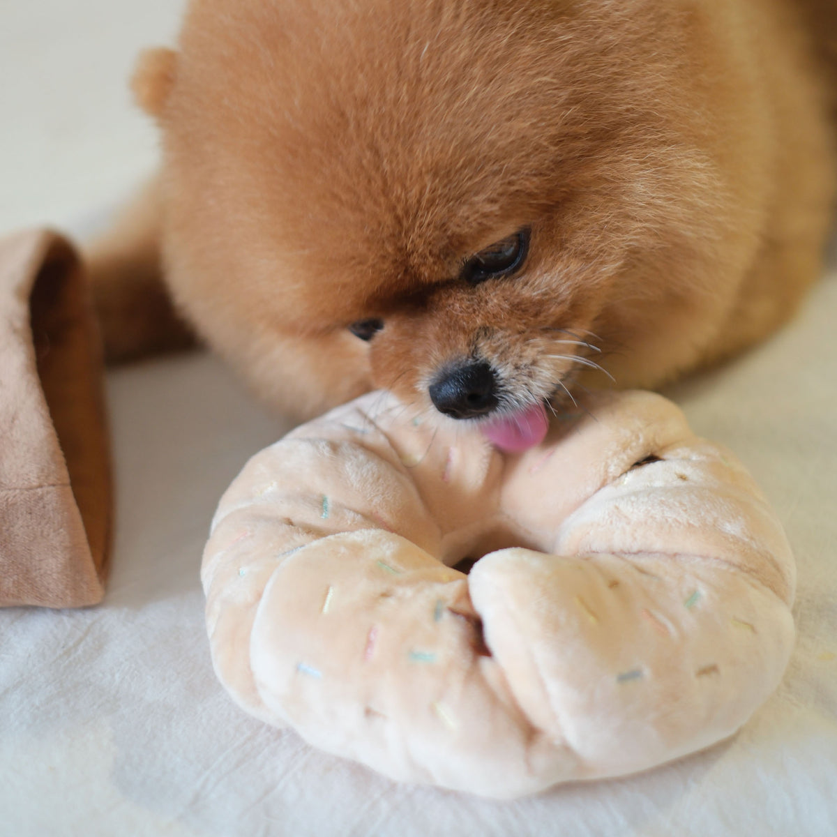 Sprinkle Donut Nosework Toy