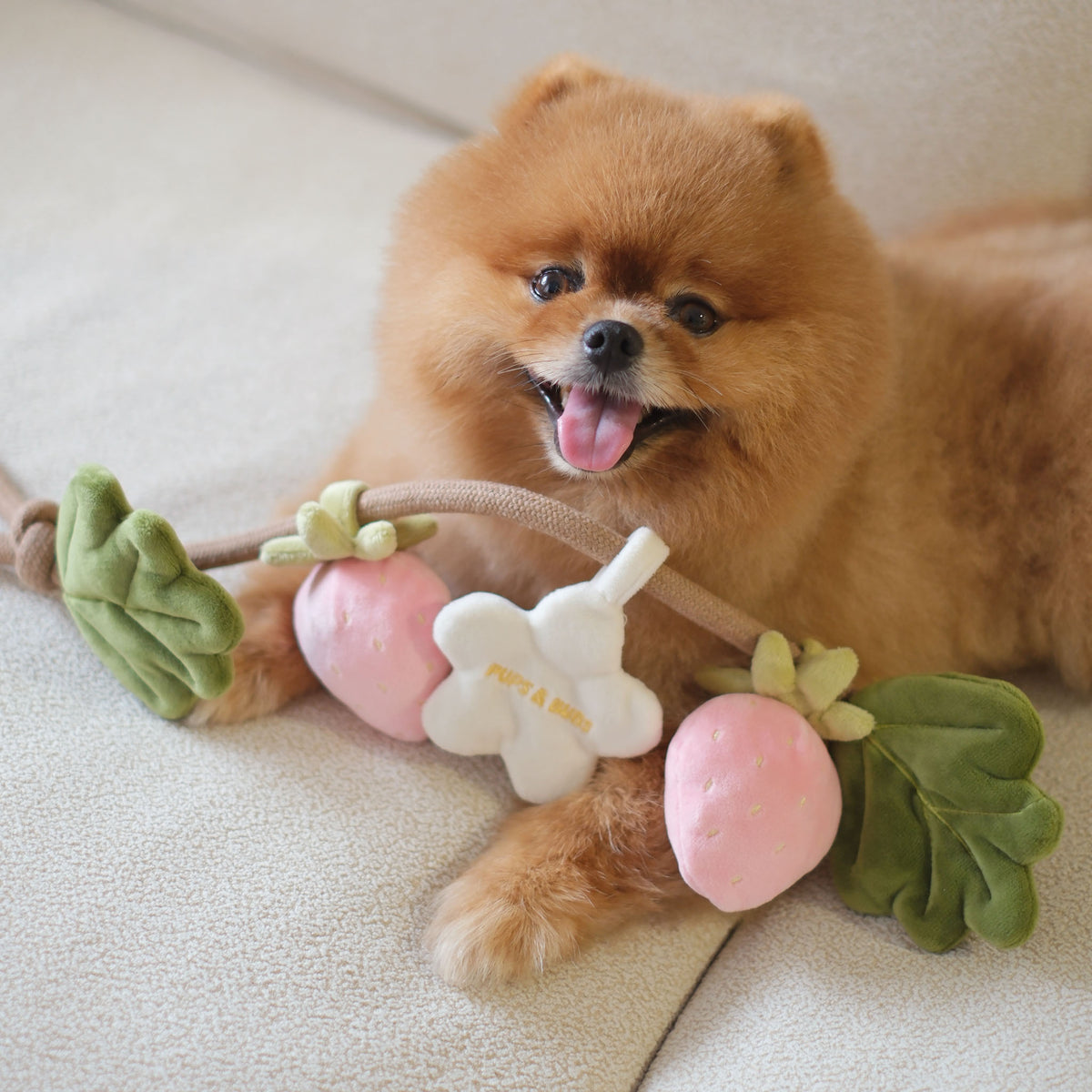 Strawberry Vine Rope Toy