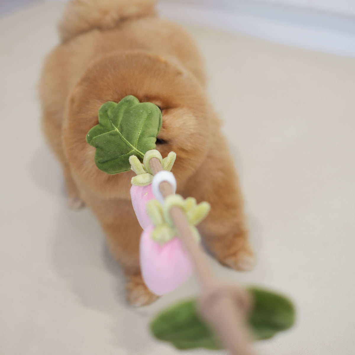 Strawberry Vine Rope Toy