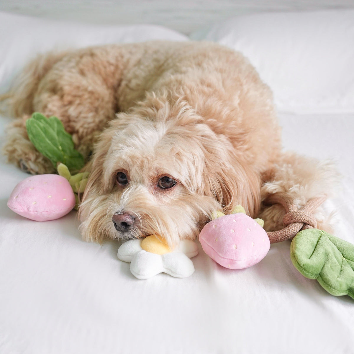 Strawberry Vine Rope Toy