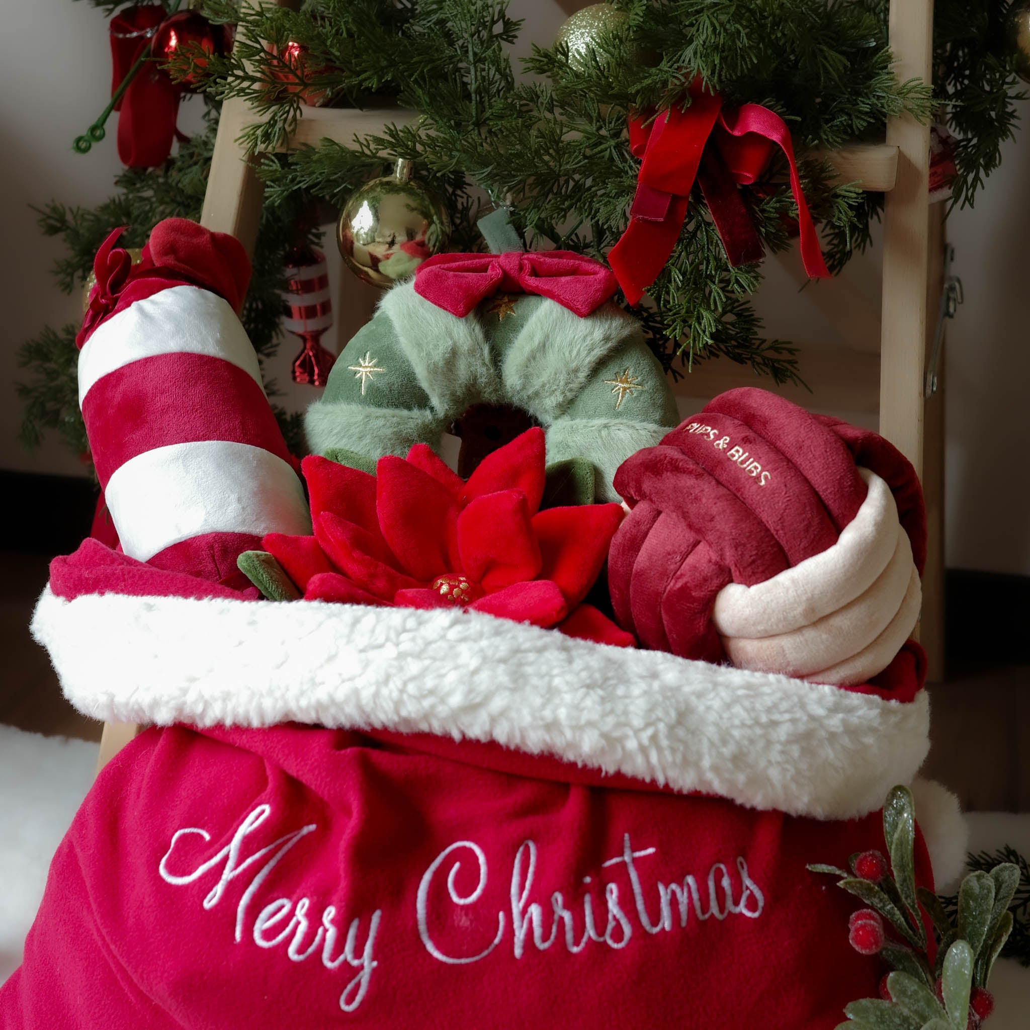 Innovative Lifestyle Pet Goods