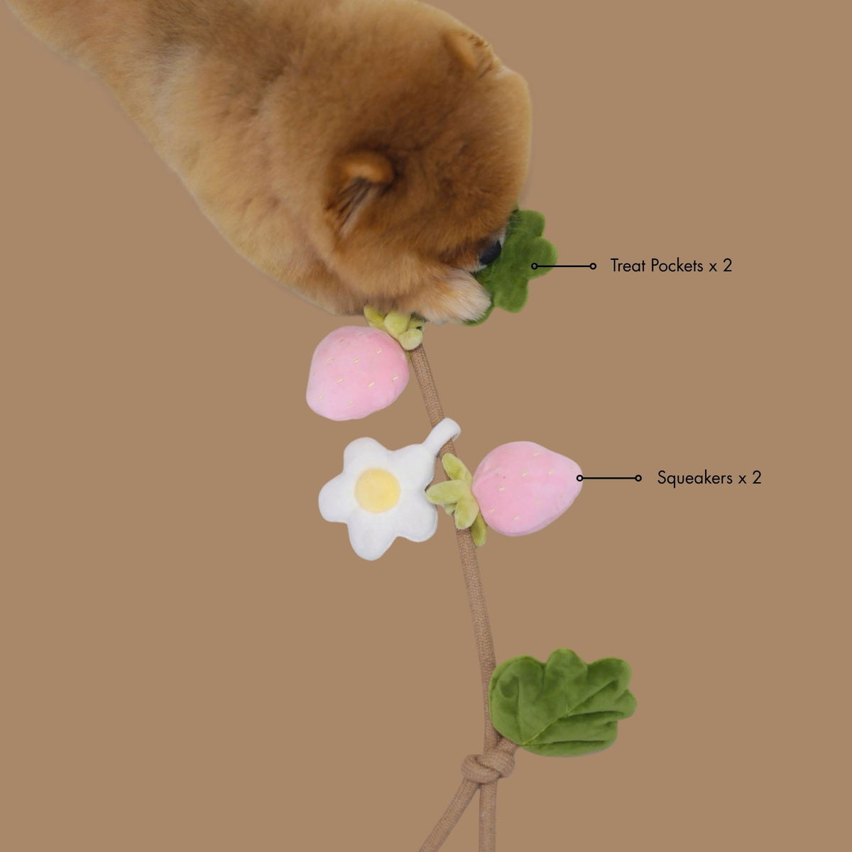 Strawberry Vine Rope Toy