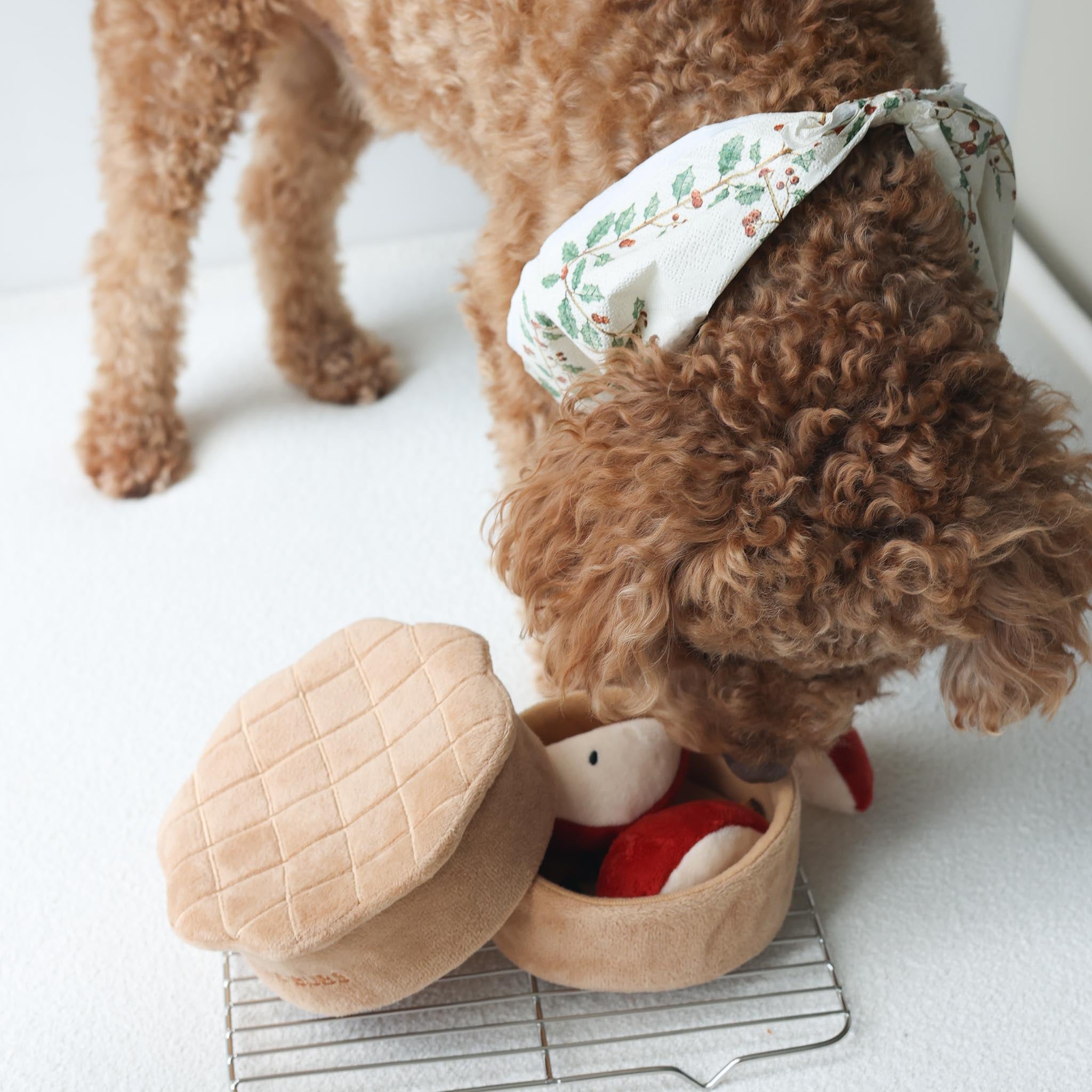 Apple Pie Nosework Toy - Pups & Bubs