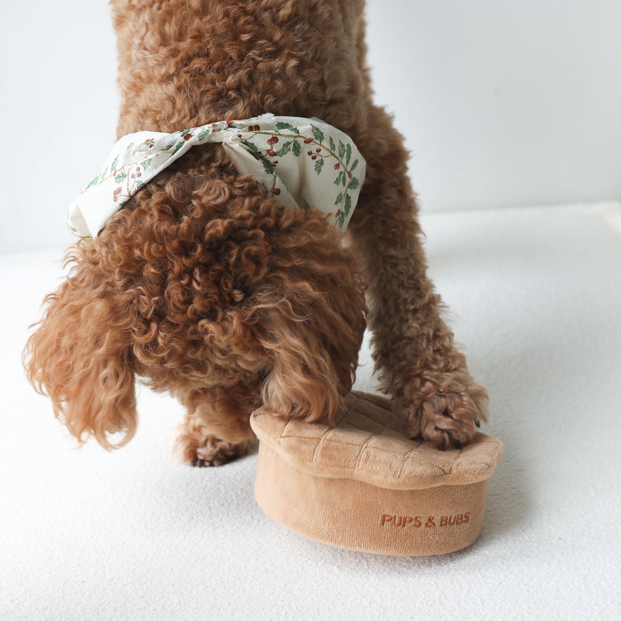 Apple Pie Nosework Toy - Pups & Bubs