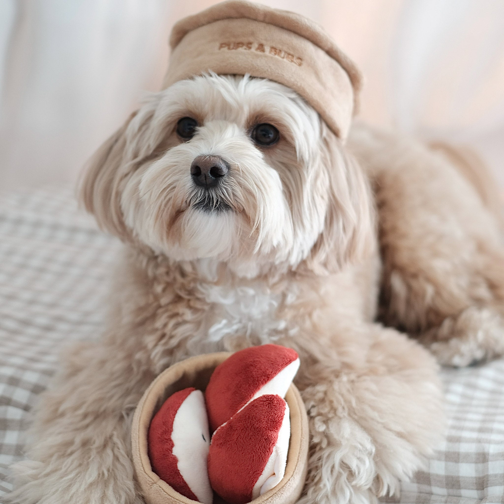 Apple Pie Nosework Toy - Pups & Bubs