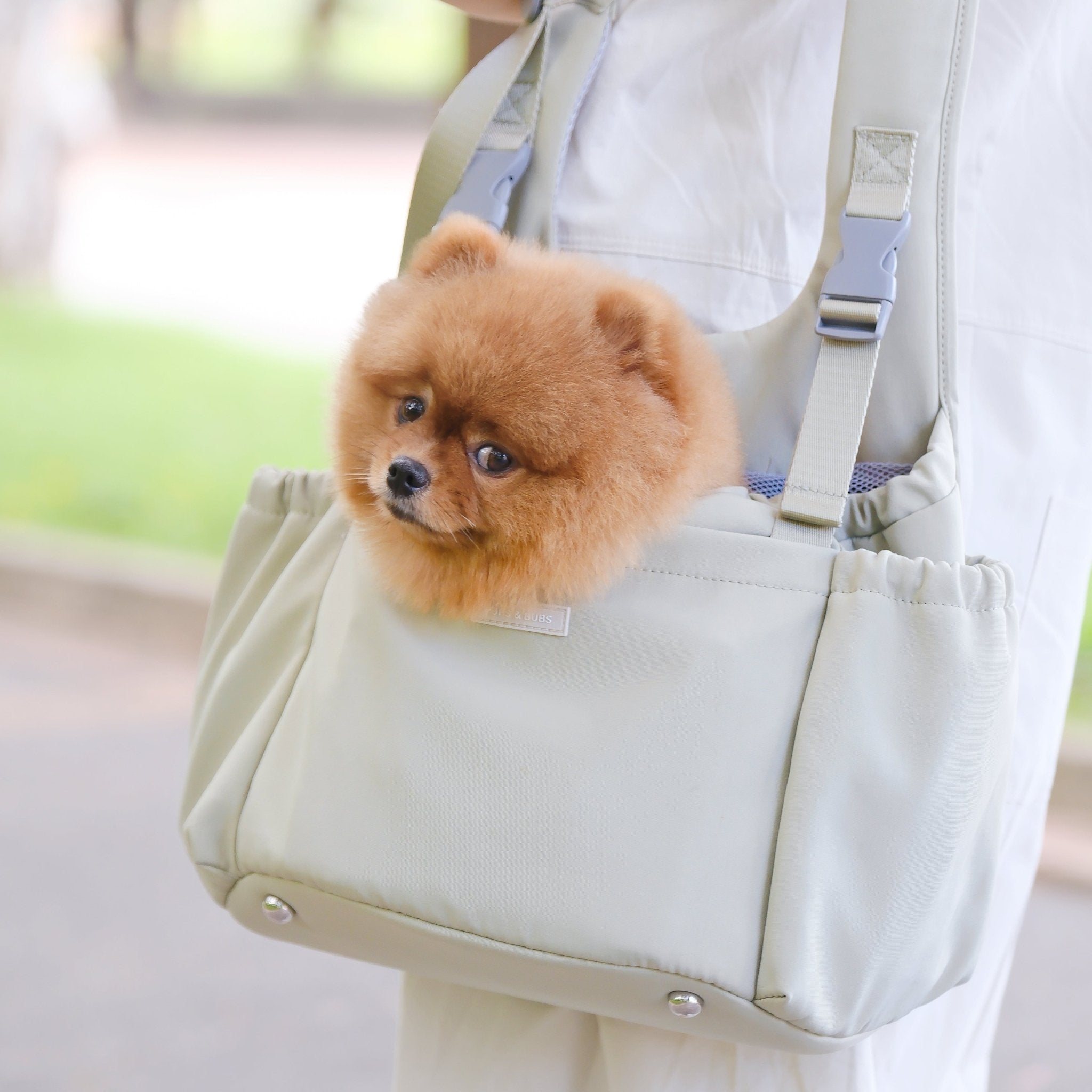 Carry Me Crossbody Pet Carrier (Sage) - Pups & Bubs