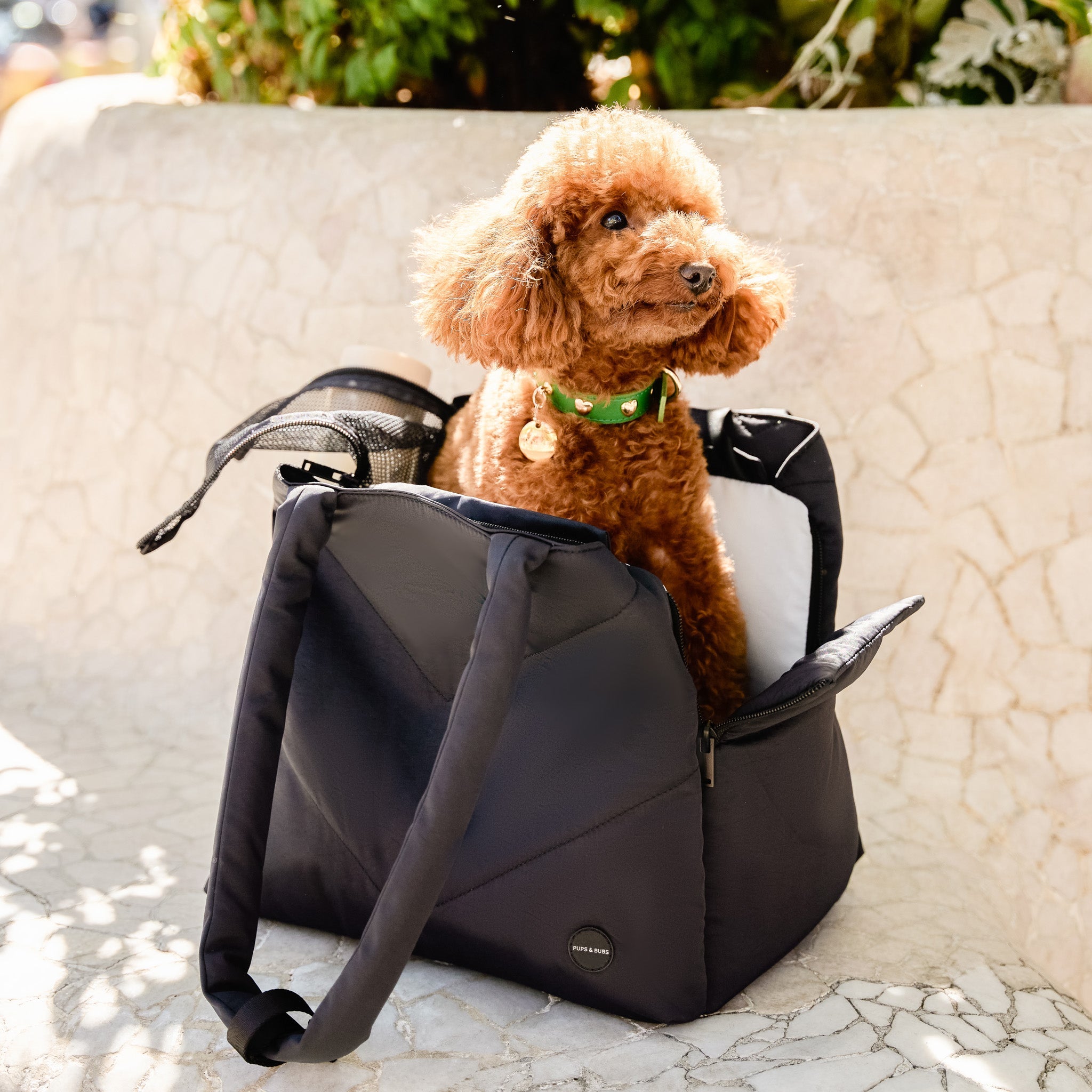 Destination Pet Carrier Tote (Black) - Pups & Bubs