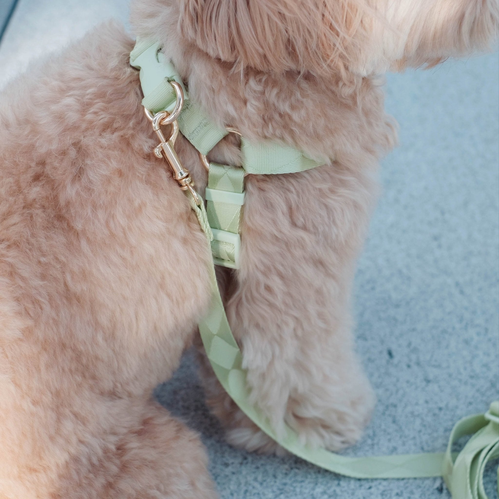 Easily Harness + Leash 2.0 (Green Apple) - Pups & Bubs