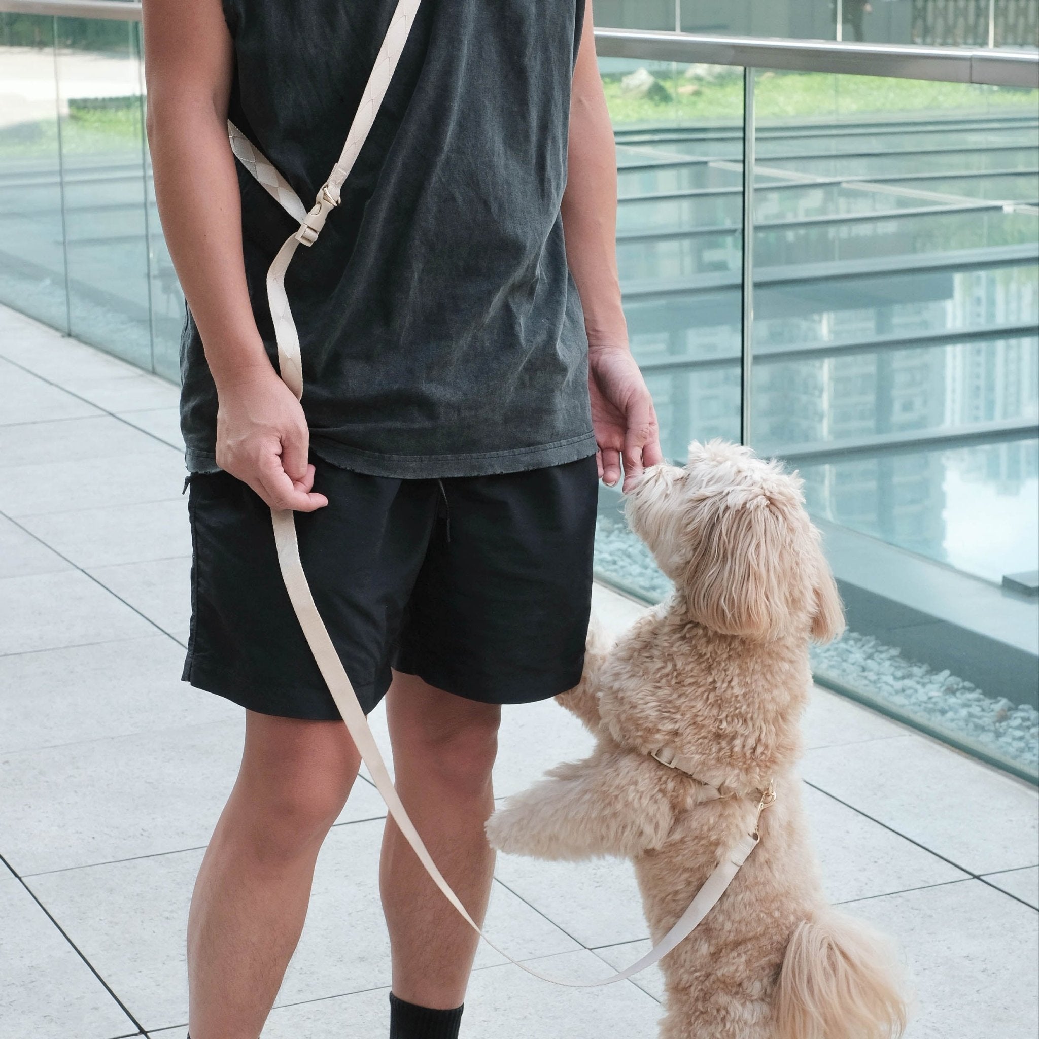 Easily Harness + Leash 2.0 (Latte) - Pups & Bubs