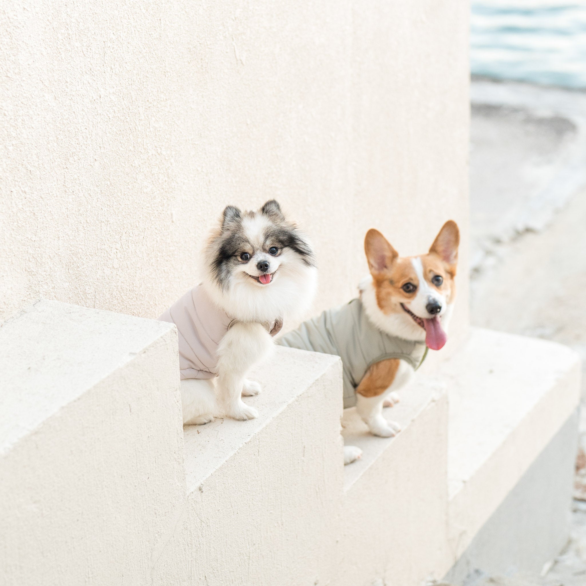 Explorer Puffer Vest (Dunes) - Pups & Bubs