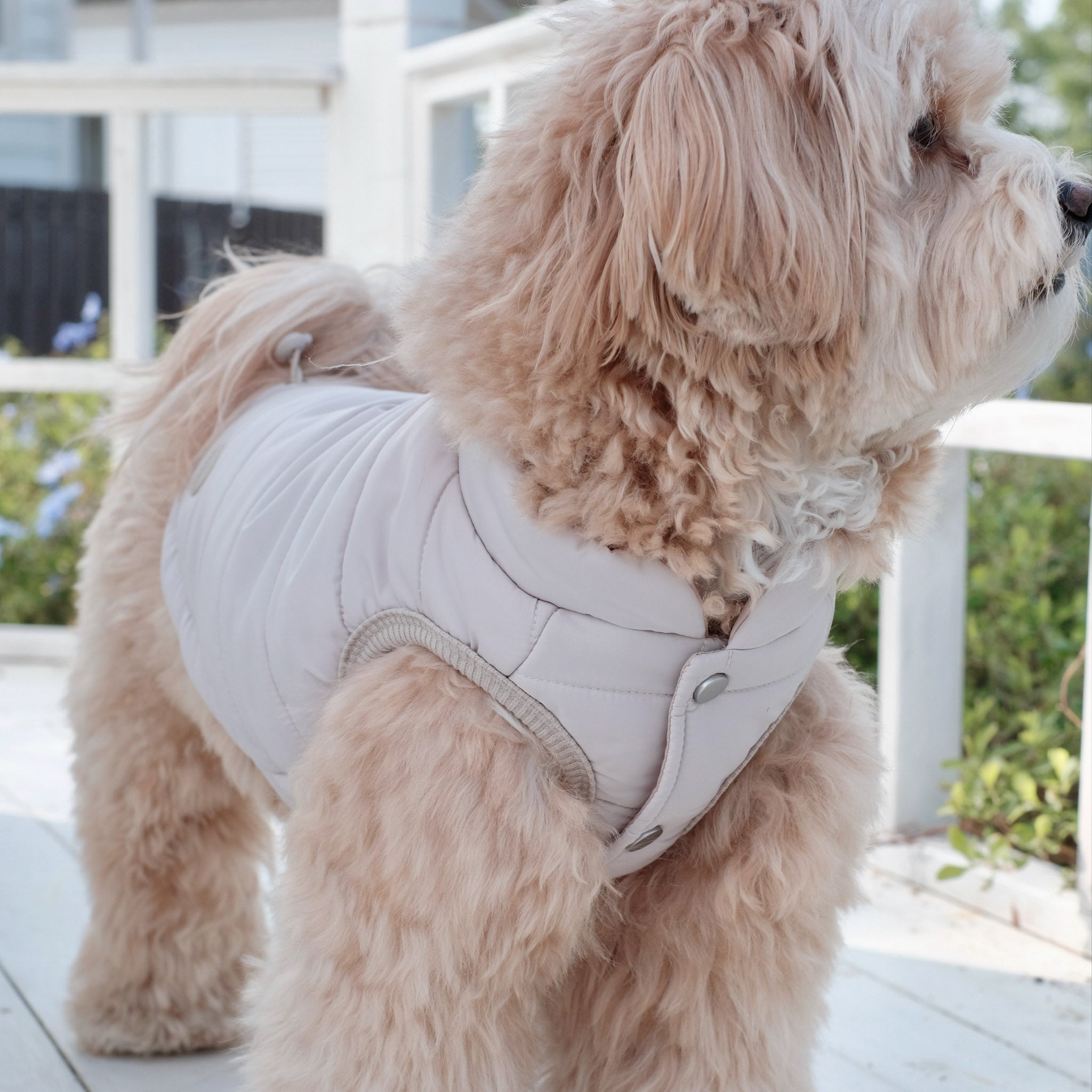 Explorer Puffer Vest (Dunes) - Pups & Bubs