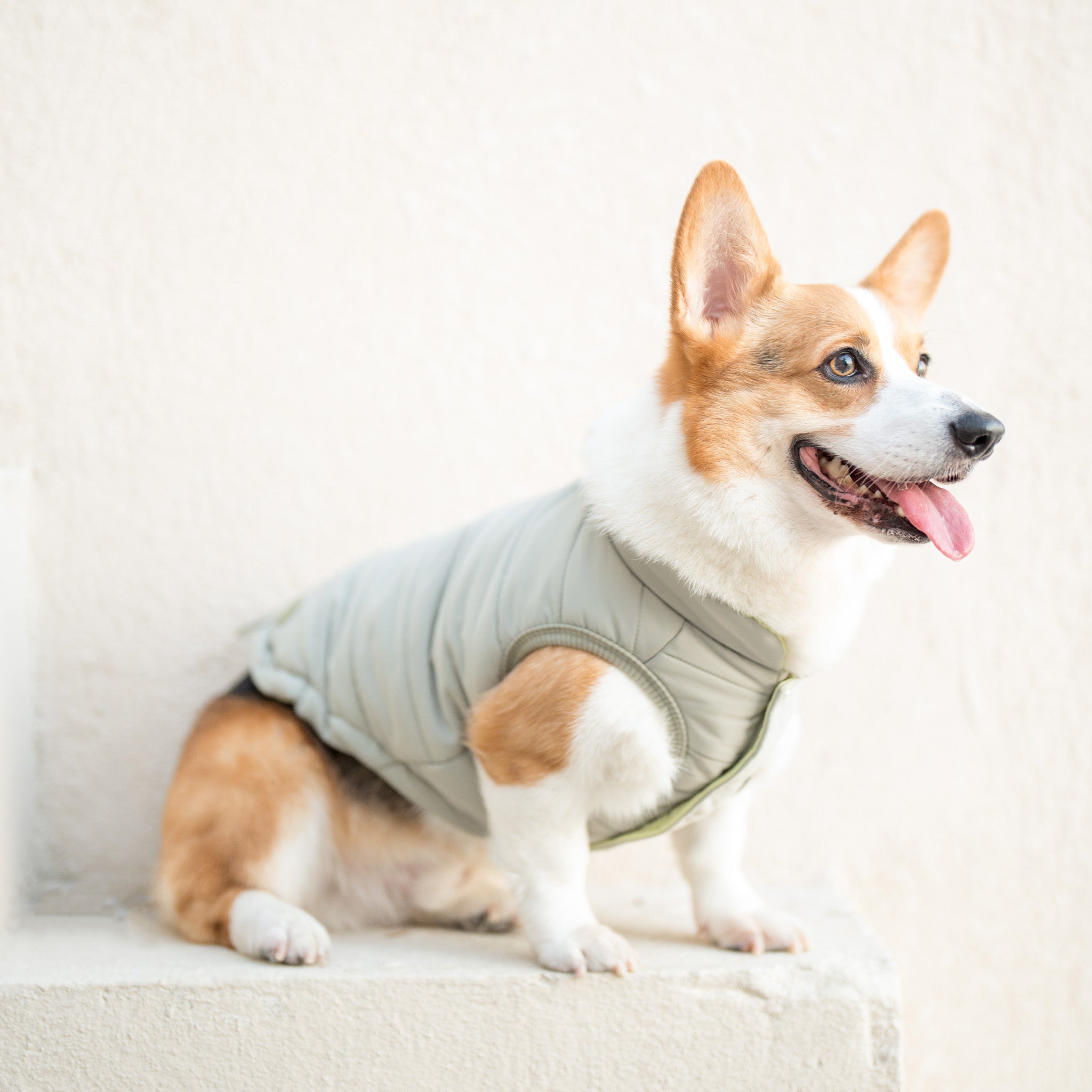 Explorer Puffer Vest (Warbler) - Pups & Bubs