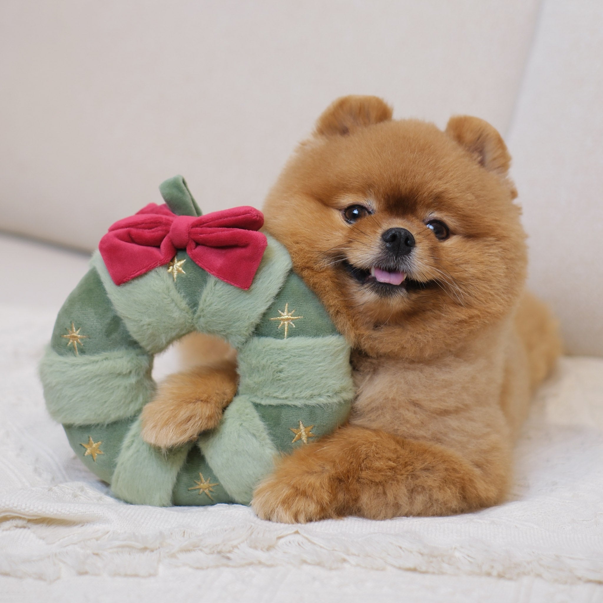 Festive Wreath Nosework Toy - Pups & Bubs