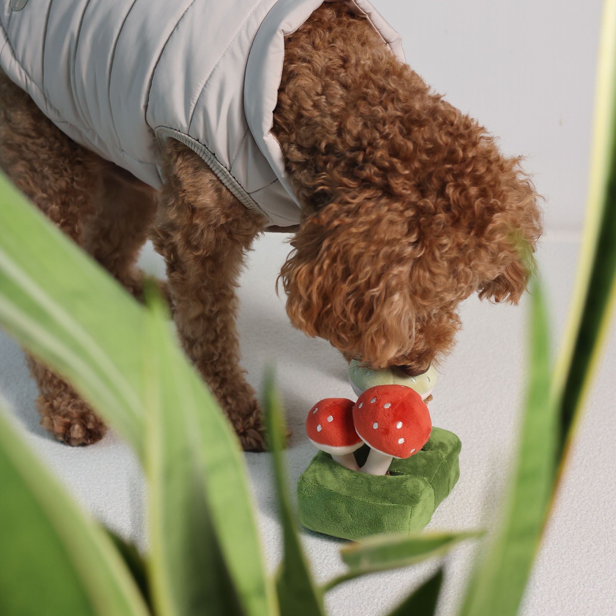 Forest Mushroom Nosework Toy - Pups & Bubs