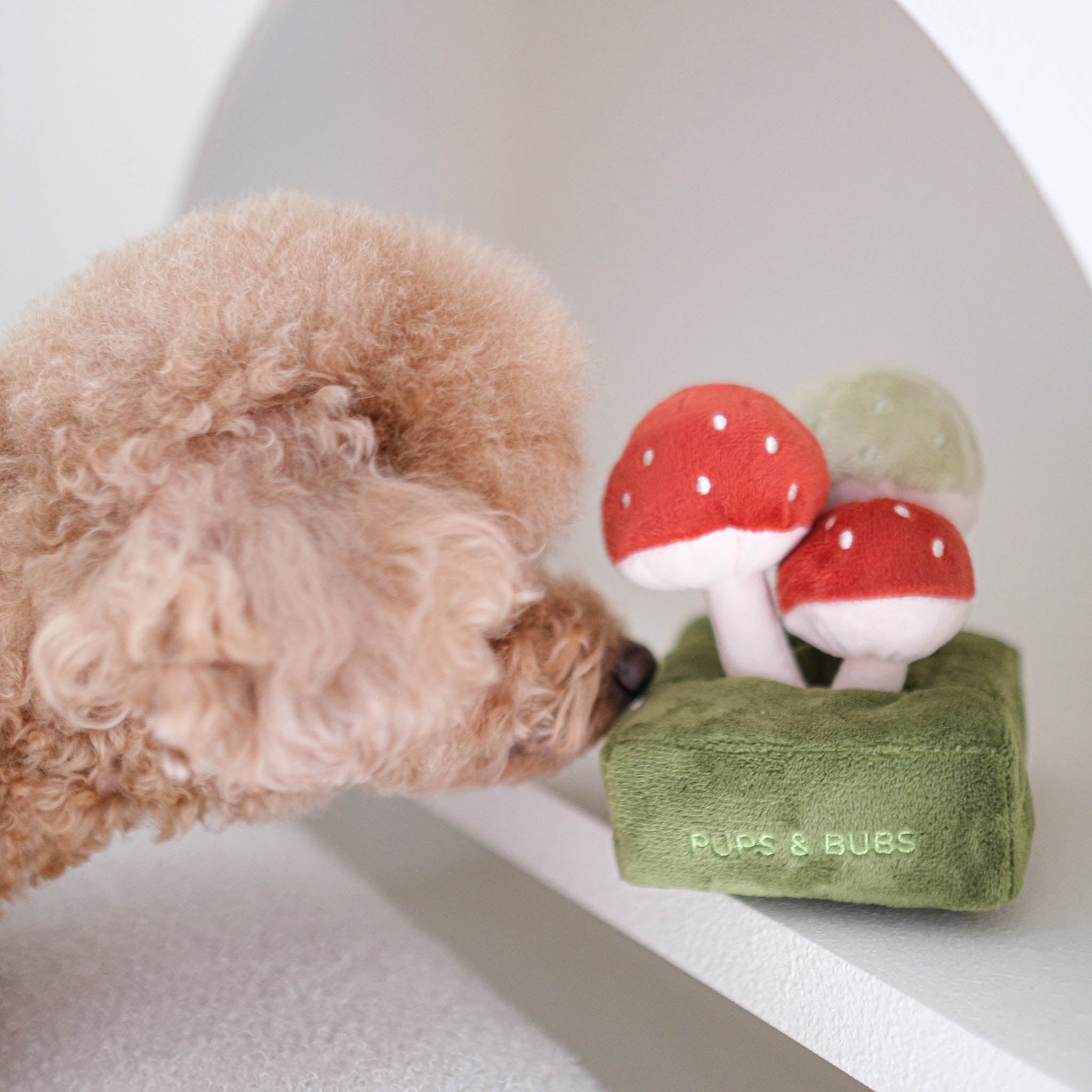 Forest Mushroom Nosework Toy - Pups & Bubs