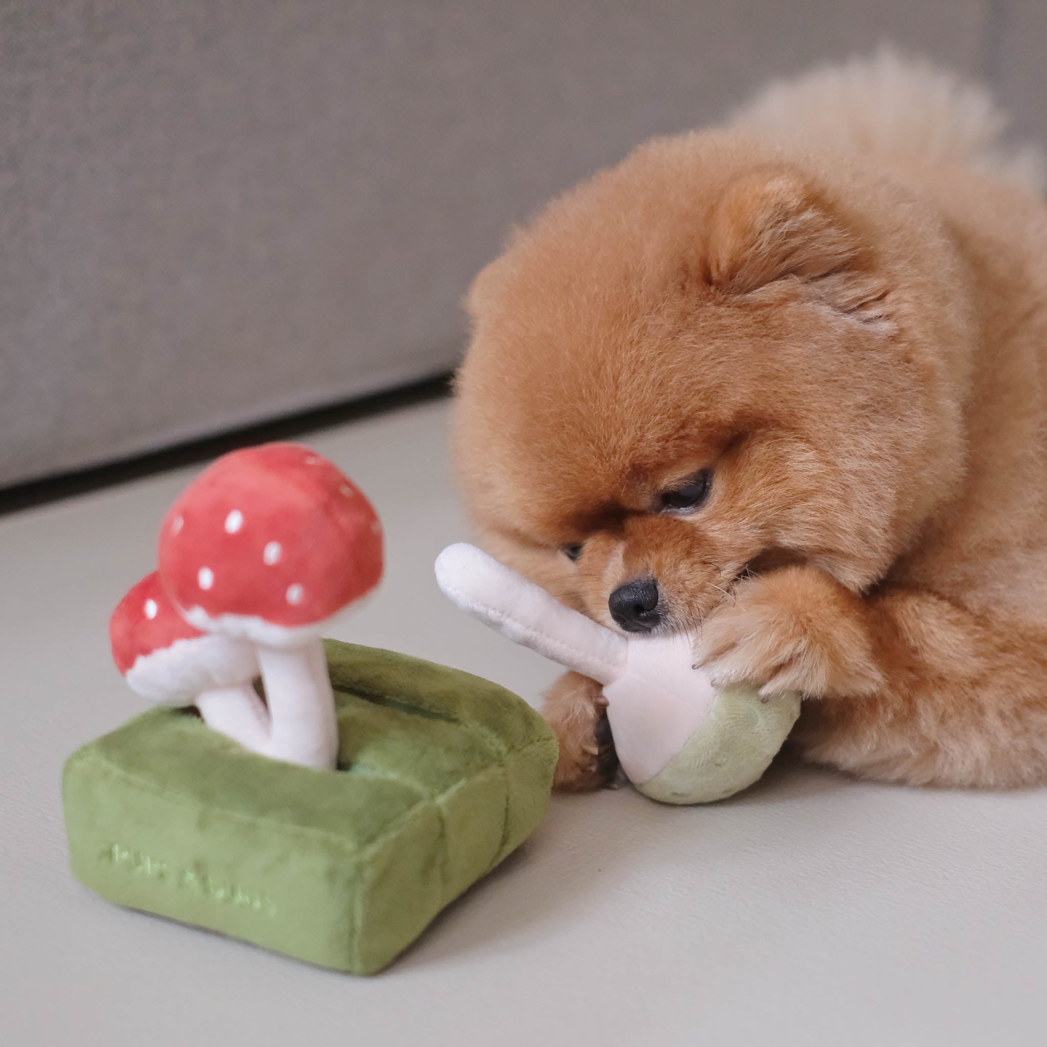 Forest Mushroom Nosework Toy - Pups & Bubs