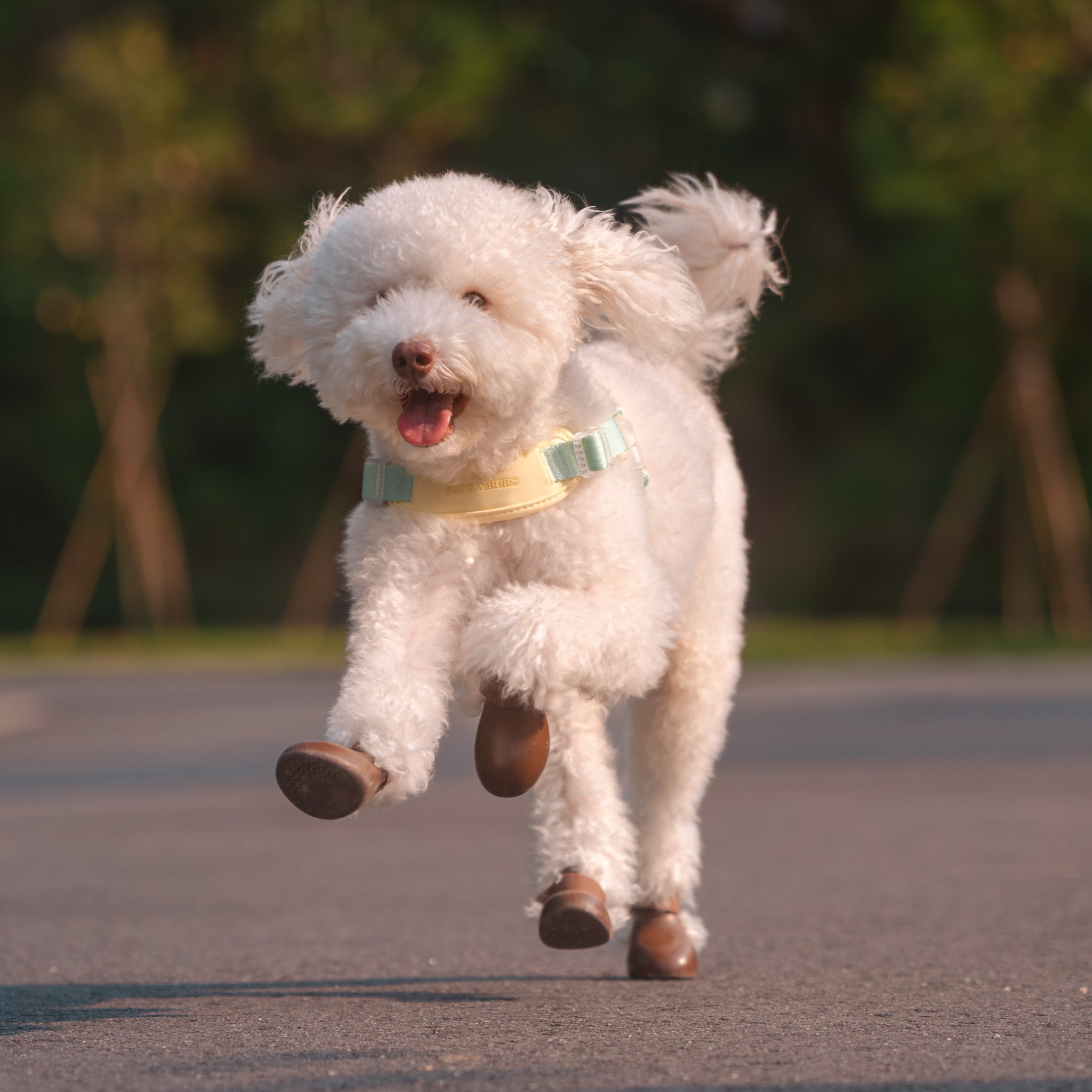 Jelly Harness (Cream Soda) - Pups & Bubs