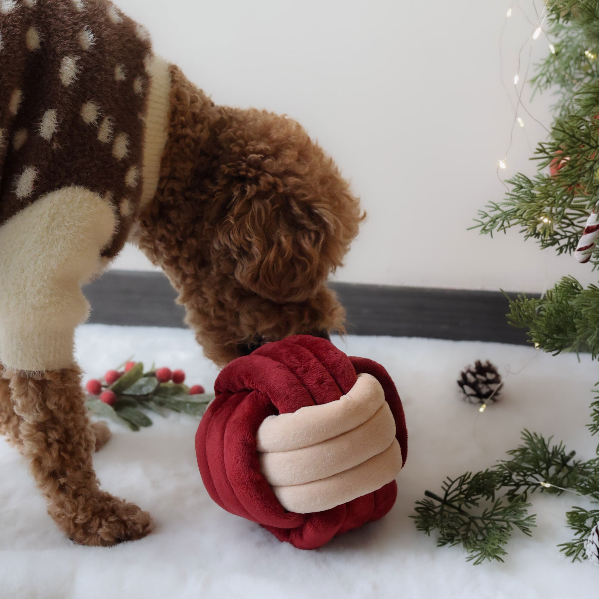 Jingle Knot Nosework Toy - Pups & Bubs