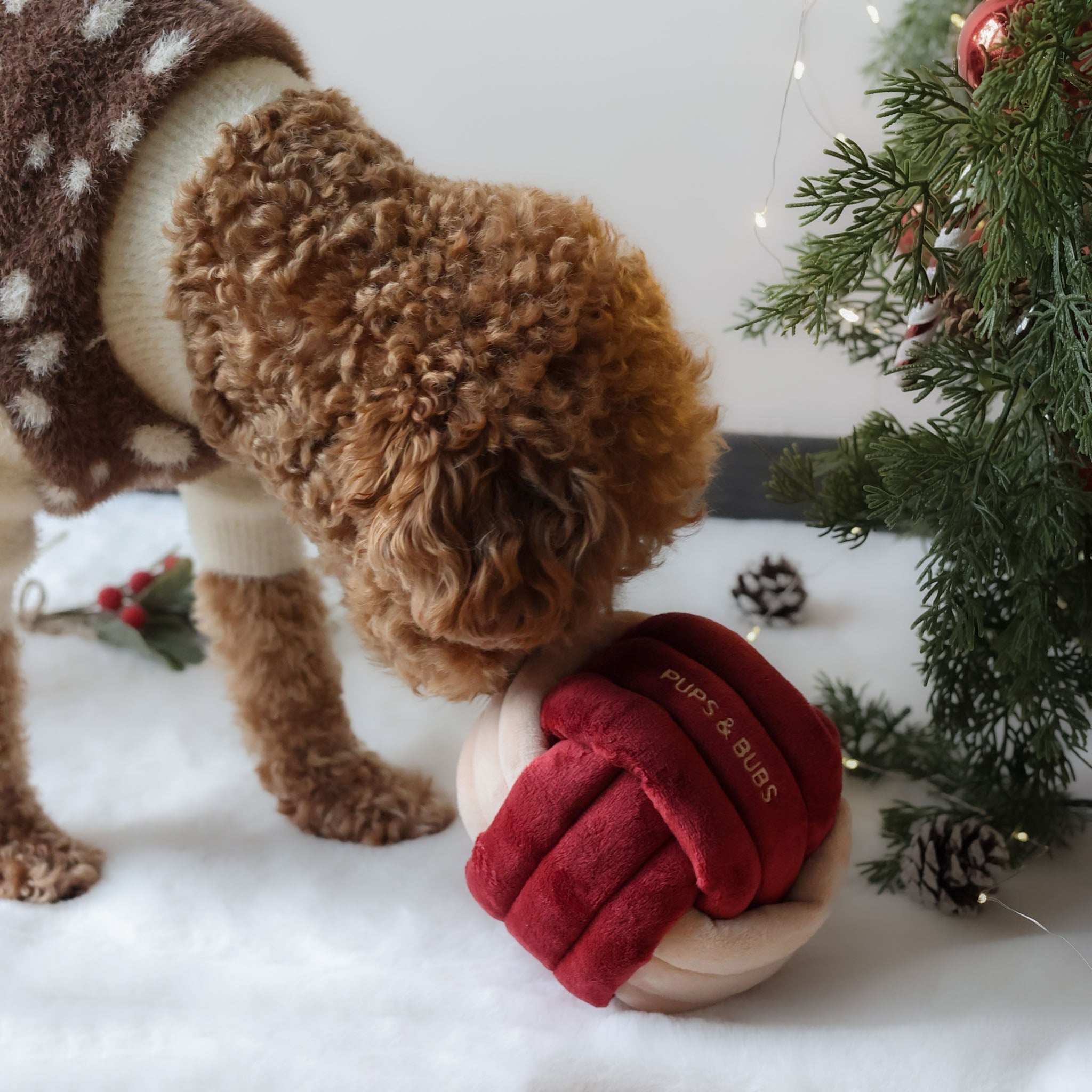 Jingle Knot Nosework Toy - Pups & Bubs