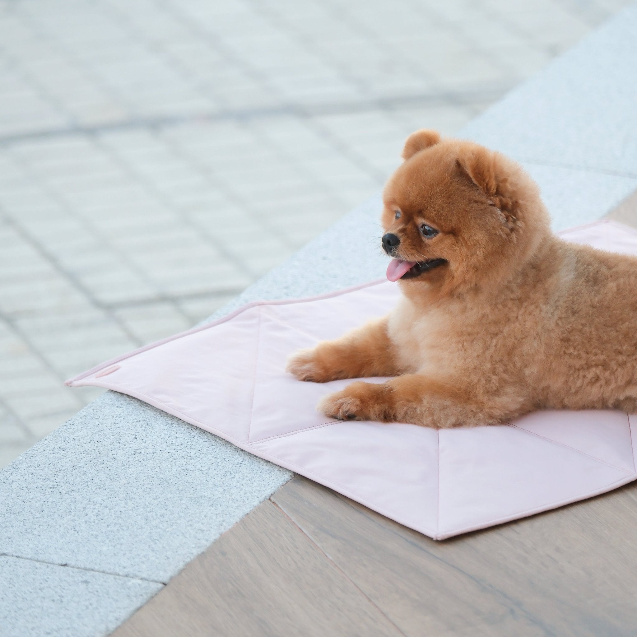 Jouir Travel Mat (Rose) - Pups & Bubs