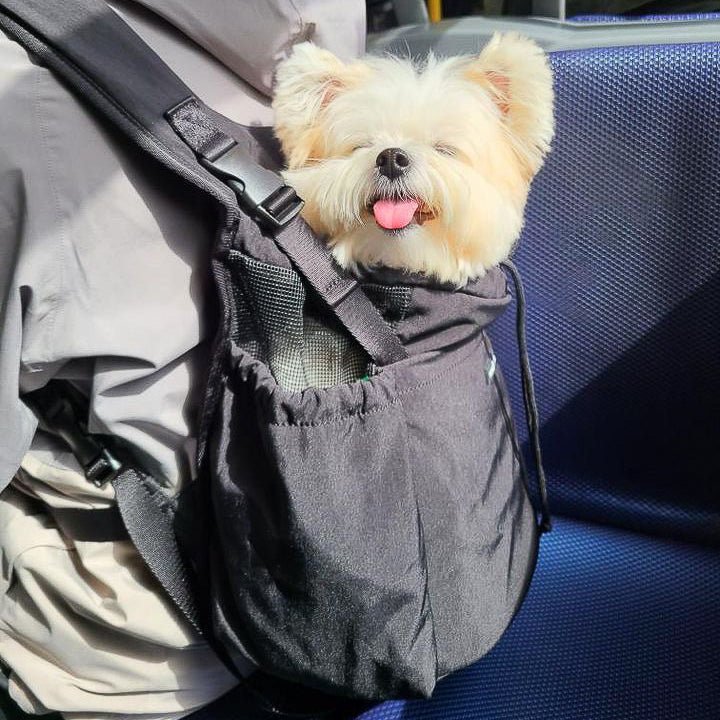 Let's Adventure Pet Carrier / Front & Backpack (Black) - Pups & Bubs
