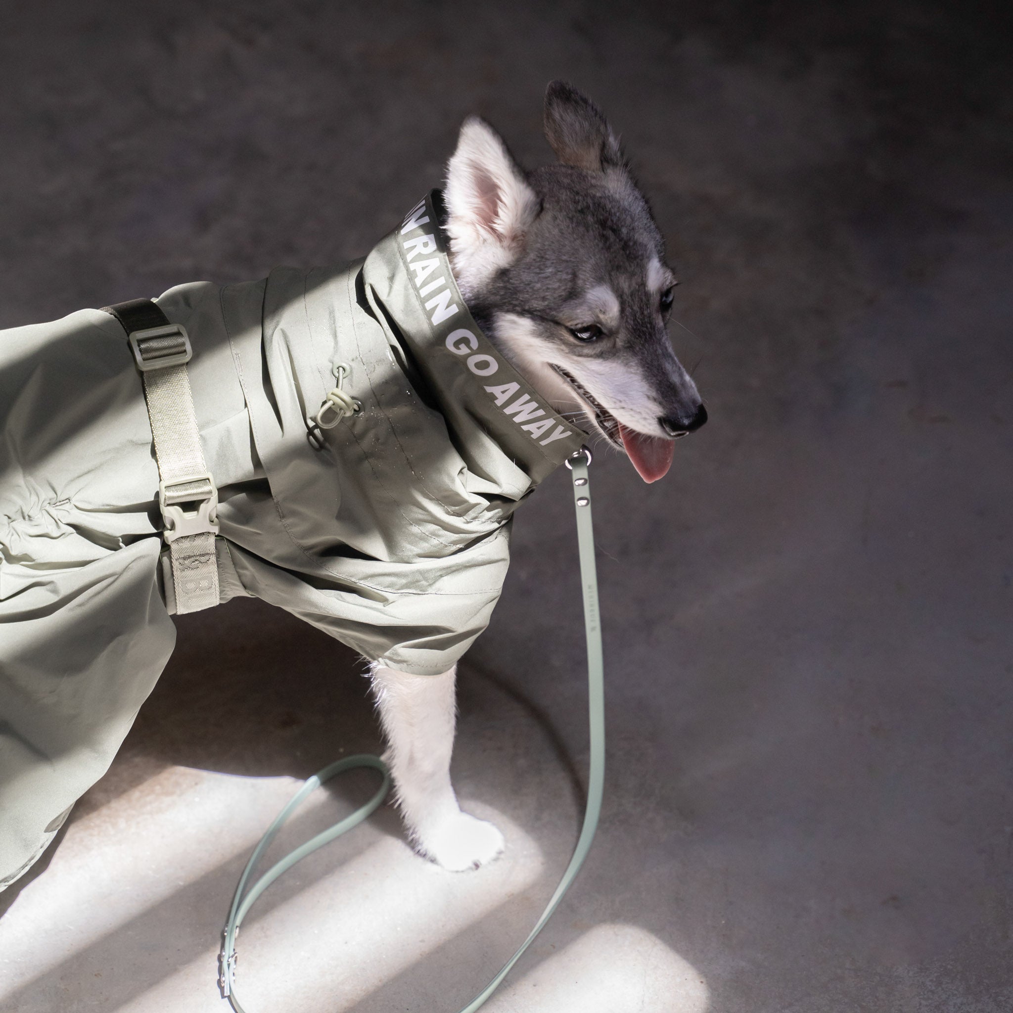 Lumi Raincoat (Pine) - Pups & Bubs