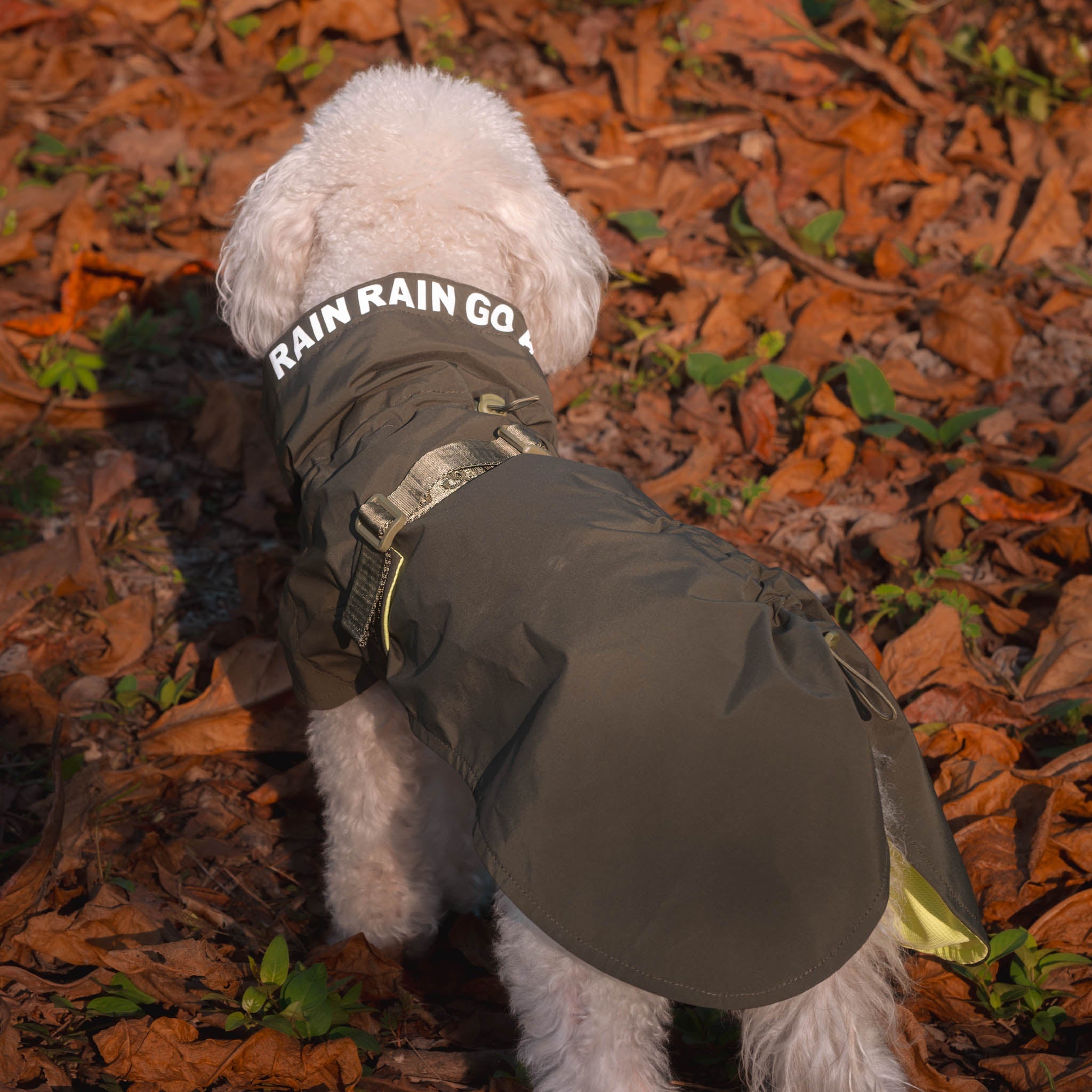 Lumi Raincoat (Pine) - Pups & Bubs