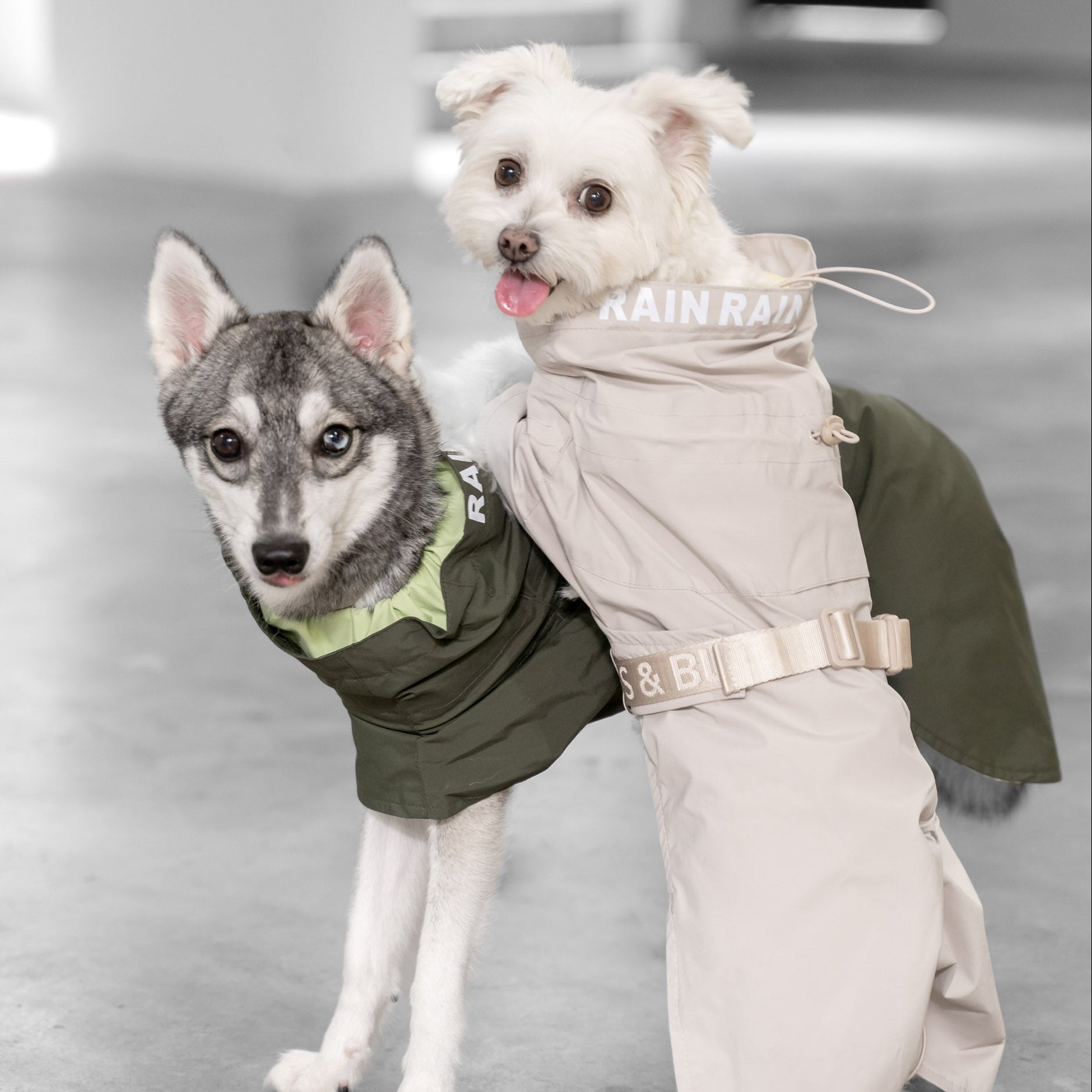 Lumi Raincoat (Sand) - Pups & Bubs