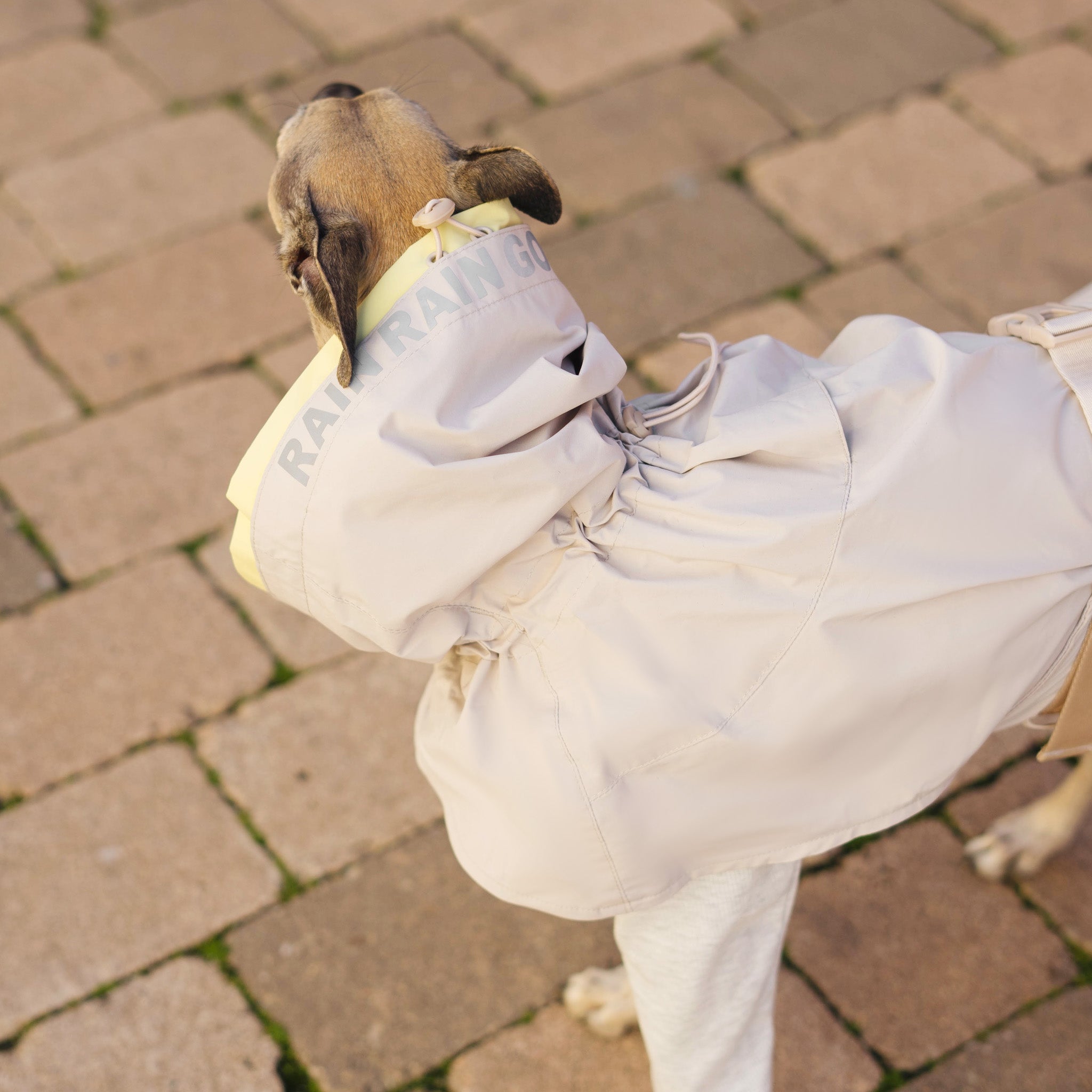 Lumi Raincoat (Sand) - Pups & Bubs